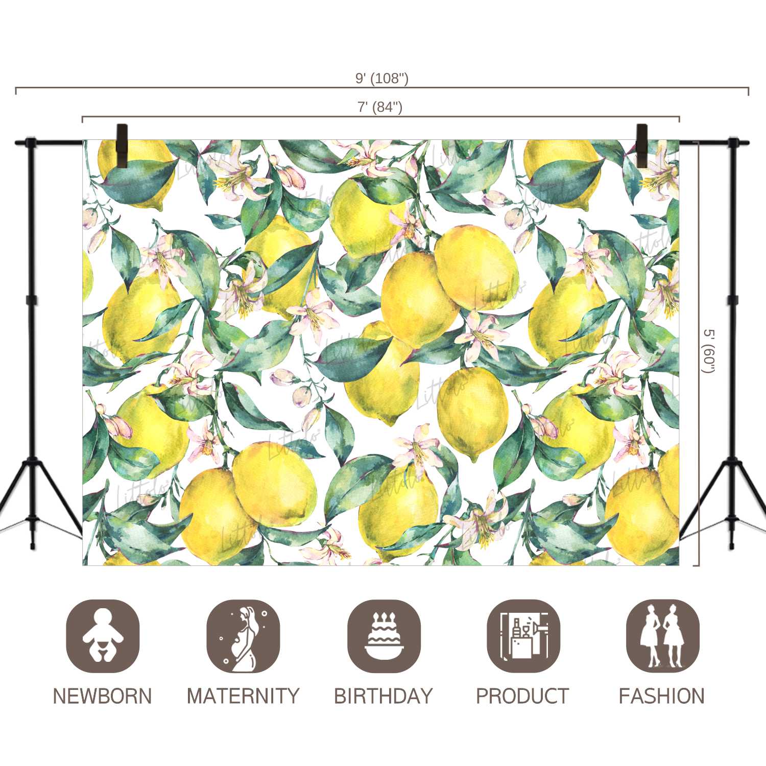 LB0248 Yellow Lemons Fruits Theme Backdrop