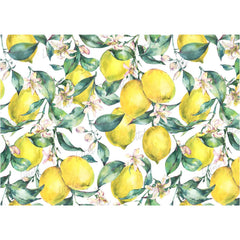 LB0248 Yellow Lemons Fruits Theme Backdrop