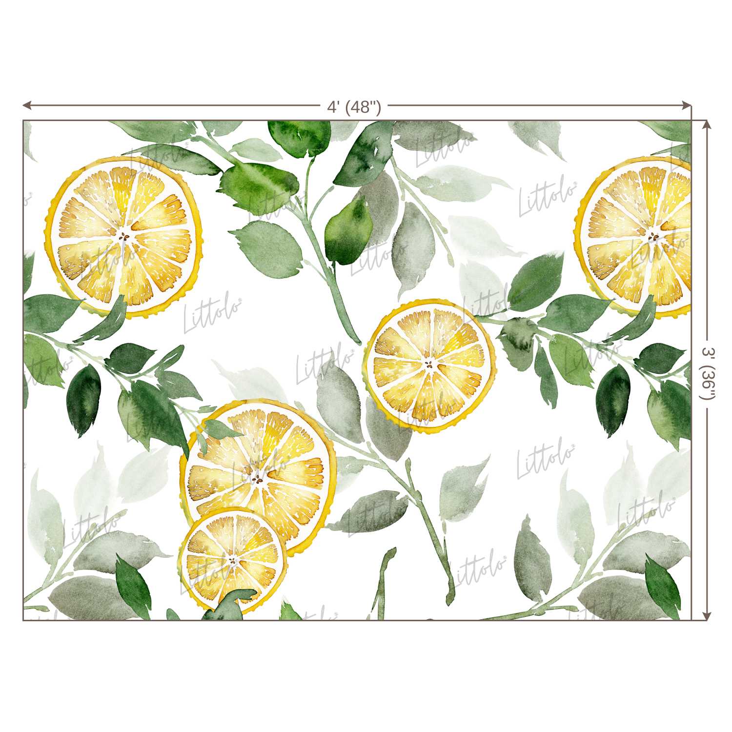 LB0249 Yellow Lemon Fruits Slices Theme Backdrop