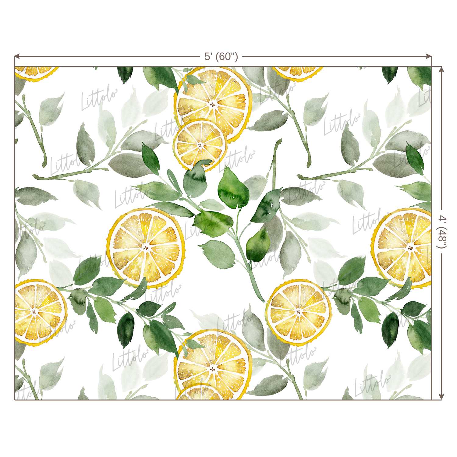 LB0249 Yellow Lemon Fruits Slices Theme Backdrop