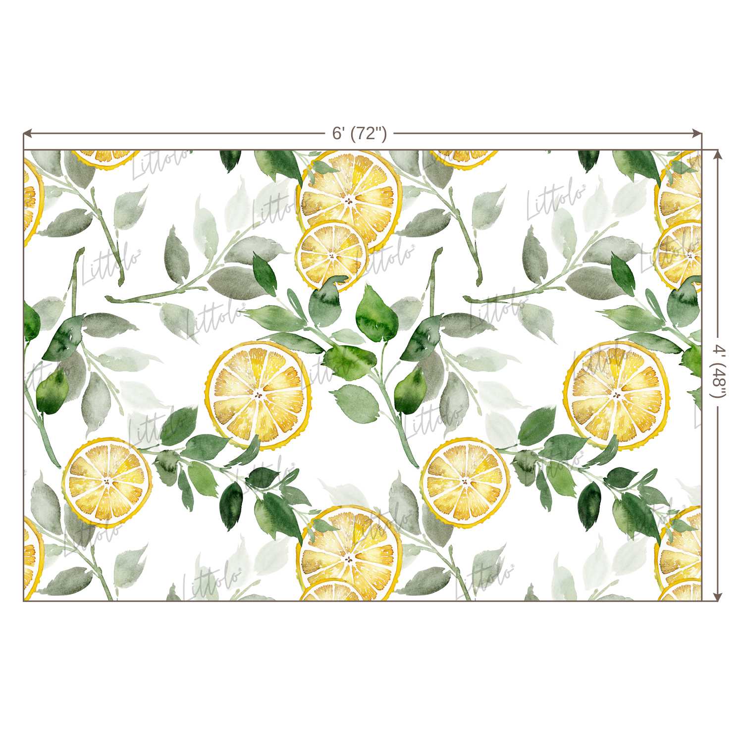 LB0249 Yellow Lemon Fruits Slices Theme Backdrop