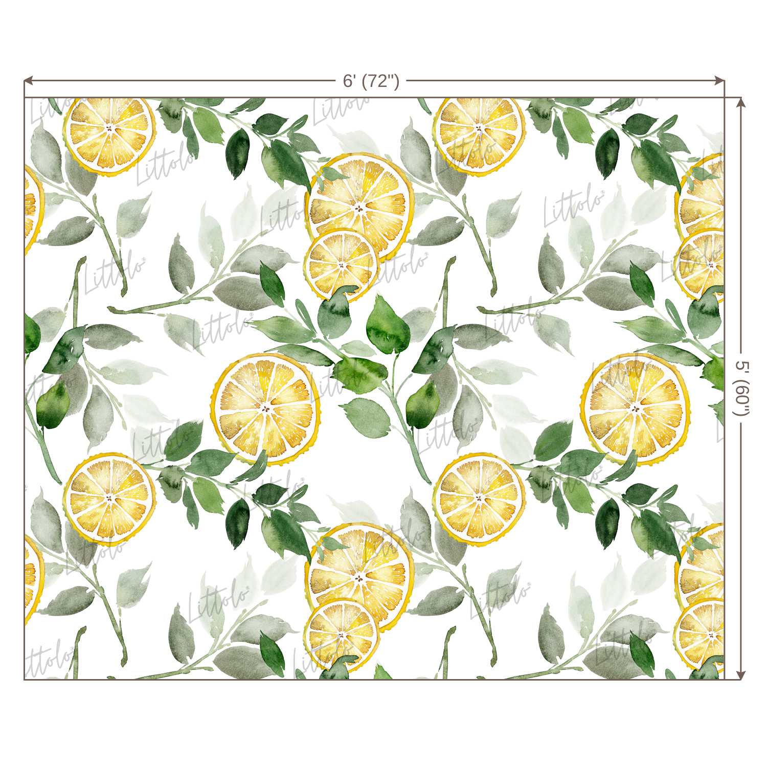 LB0249 Yellow Lemon Fruits Slices Theme Backdrop