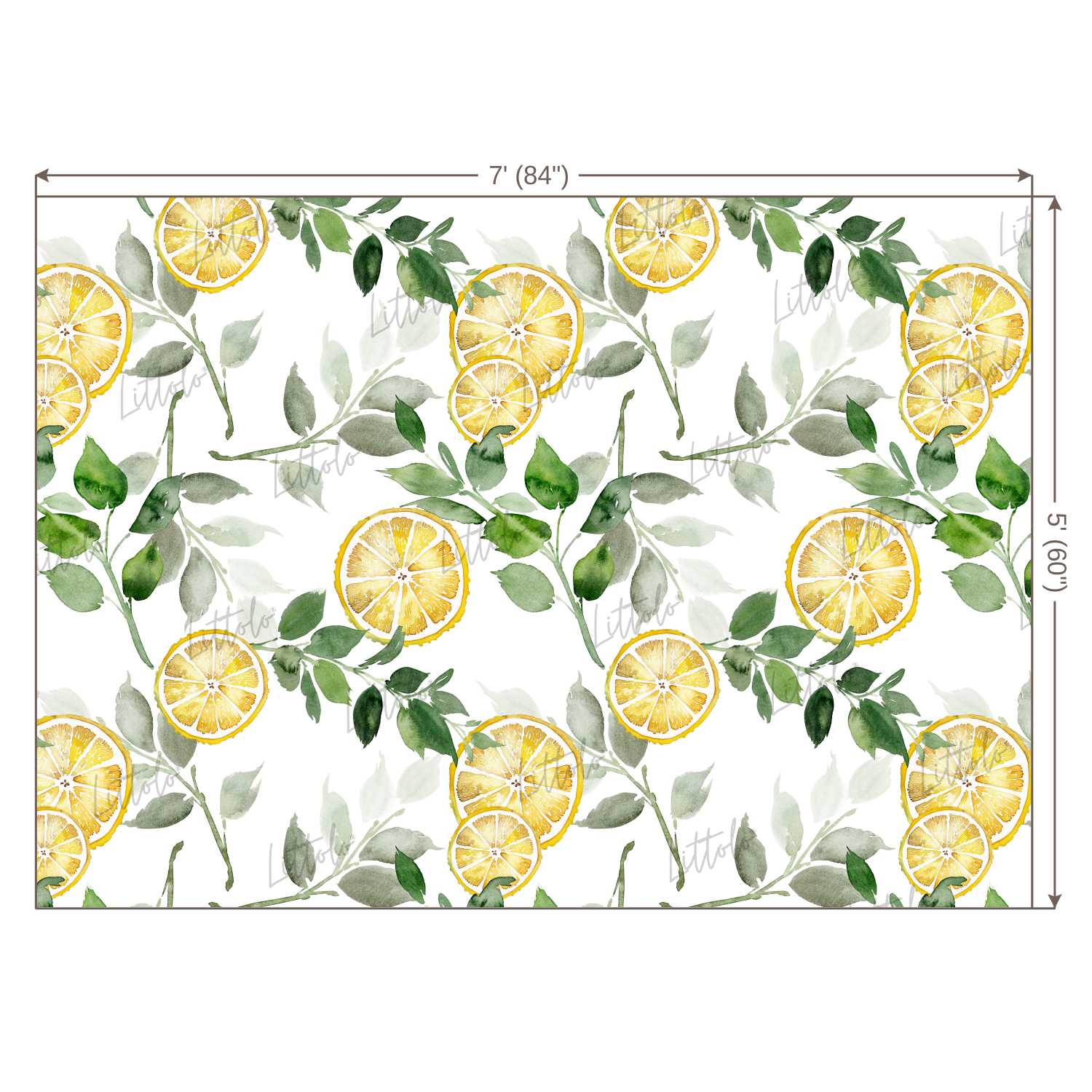 LB0249 Yellow Lemon Fruits Slices Theme Backdrop