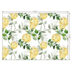 LB0249 Yellow Lemon Fruits Slices Theme Backdrop