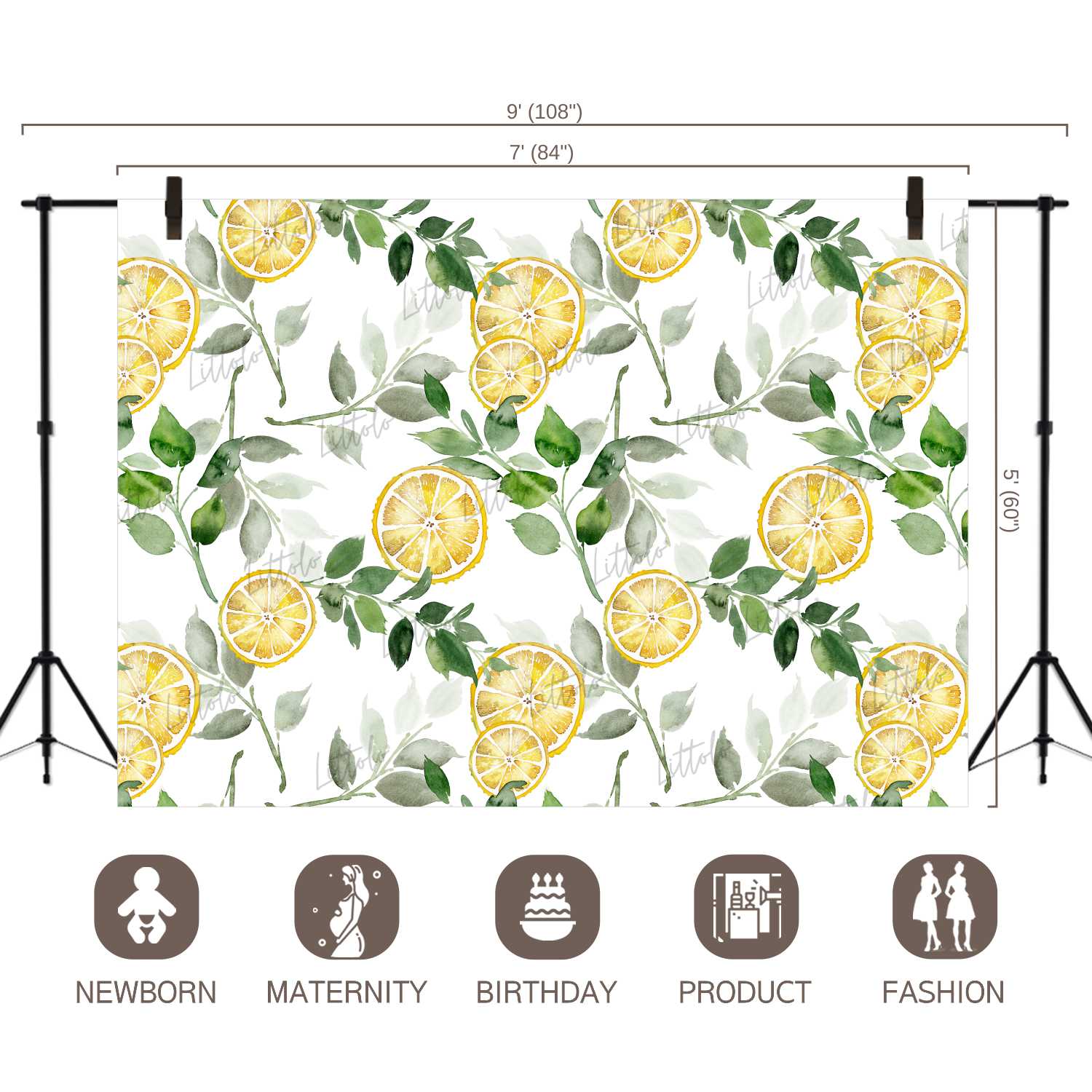 LB0249 Yellow Lemon Fruits Slices Theme Backdrop