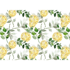 LB0249 Yellow Lemon Fruits Slices Theme Backdrop