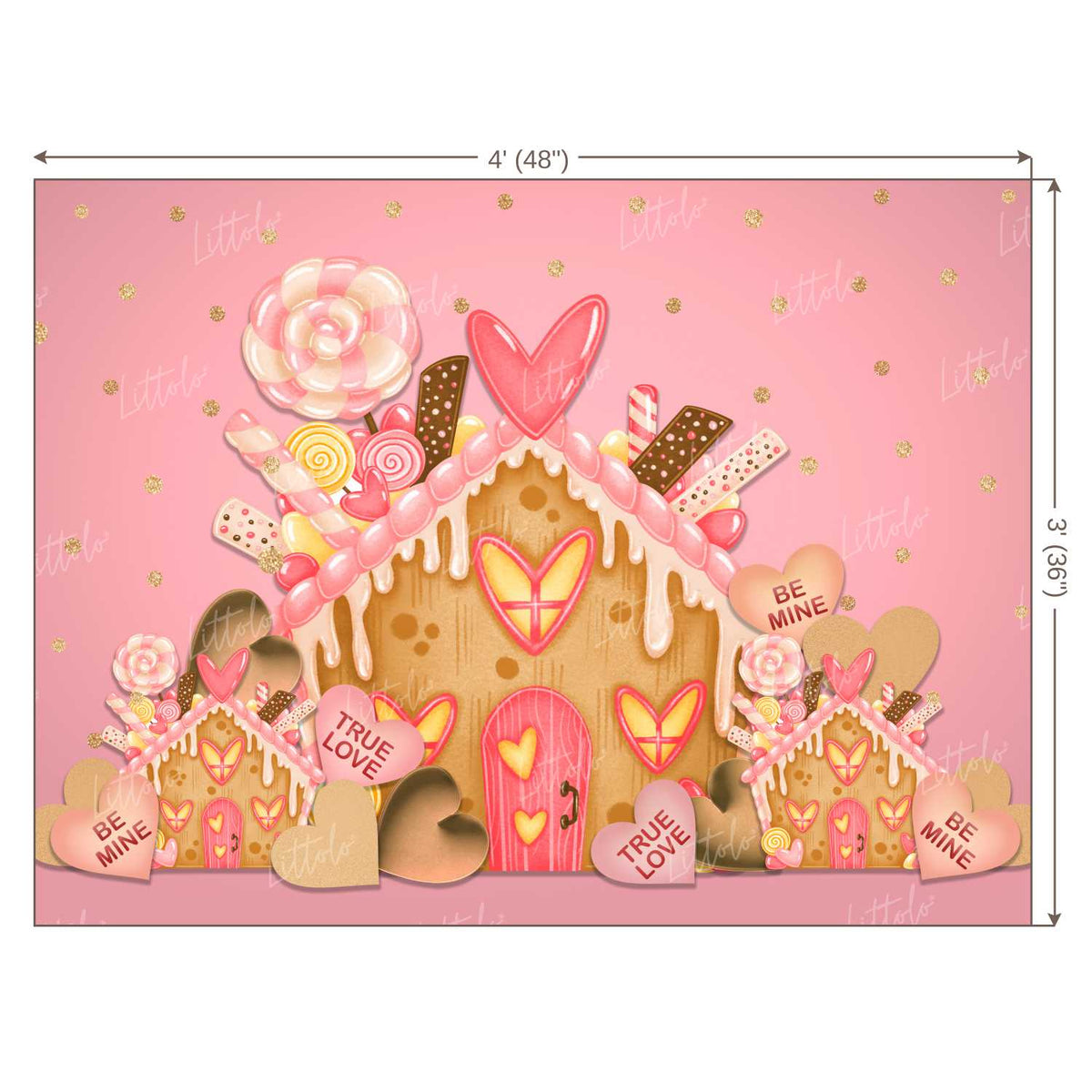 LB0252 Valentine True Love Candy House Festivals and Seasons Backdrop