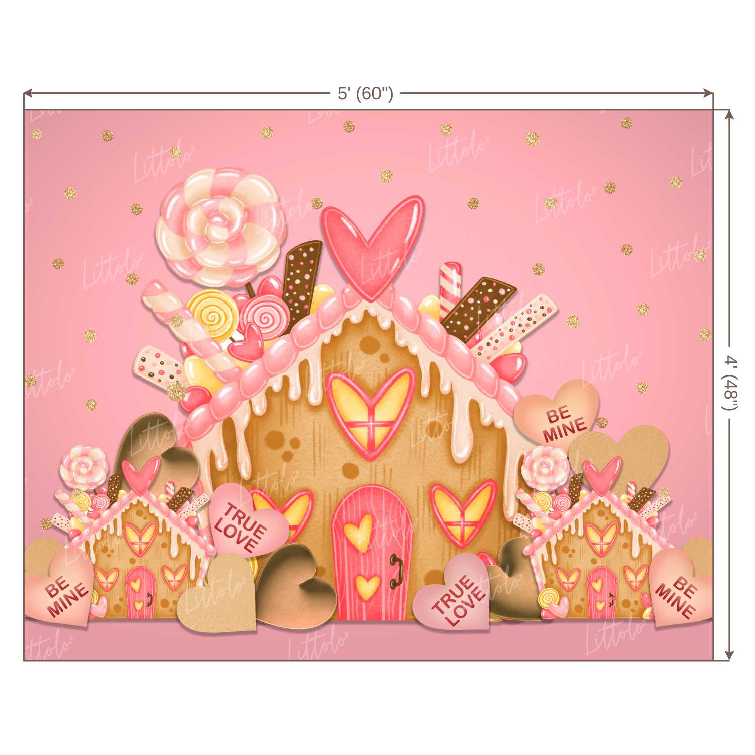 LB0252 Valentine True Love Candy House Festivals and Seasons Backdrop