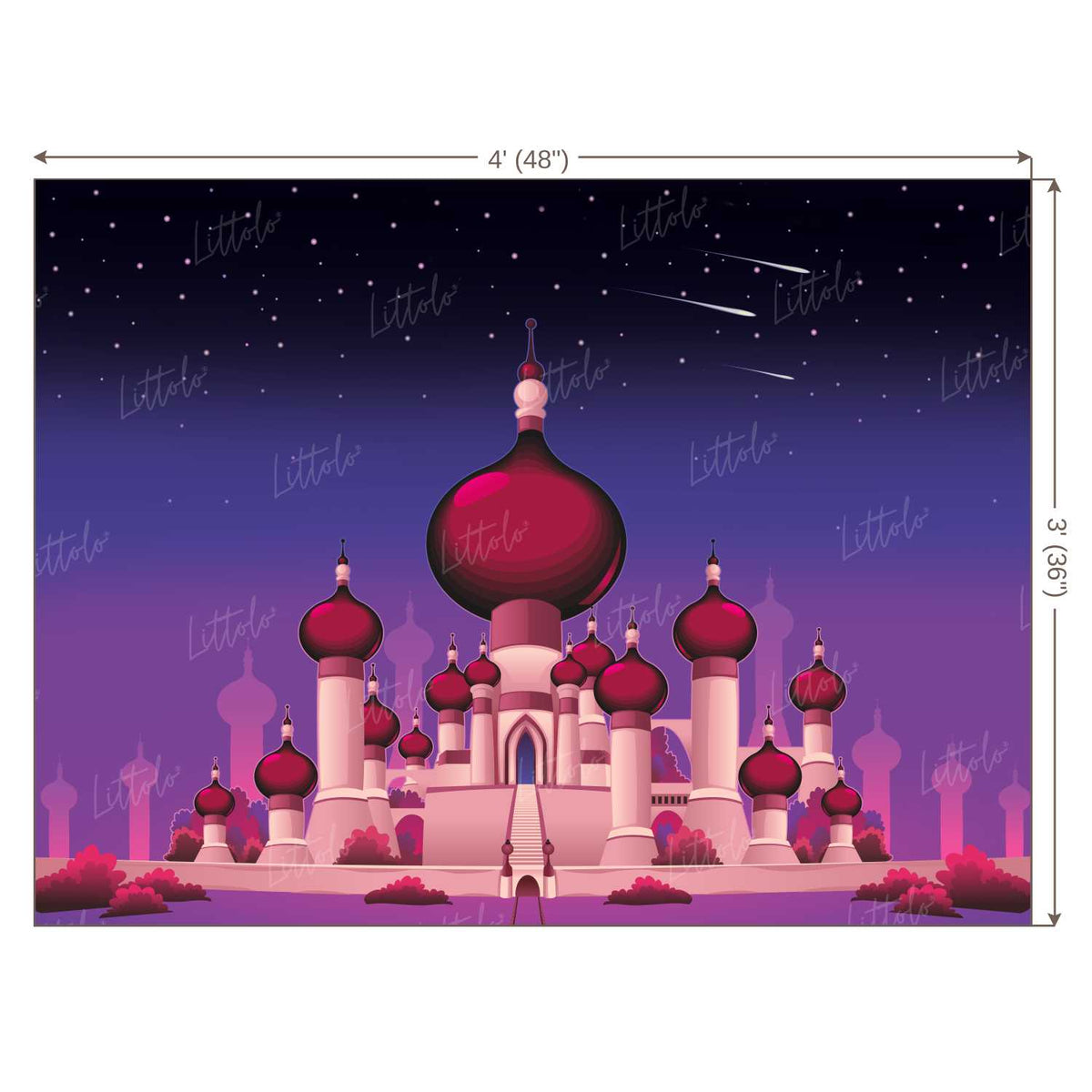 LB0253 Magical Castle Theme Backdrop