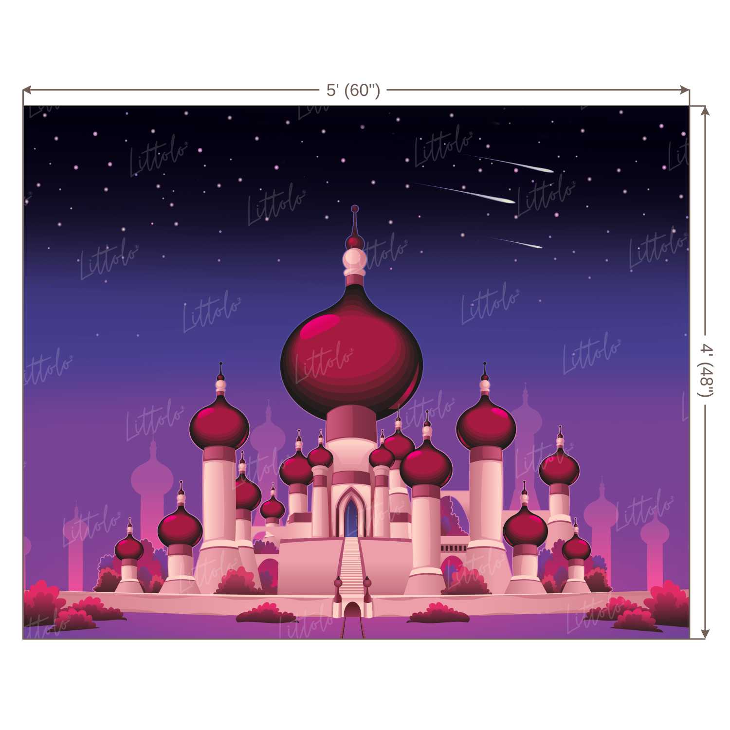 LB0253 Magical Castle Theme Backdrop