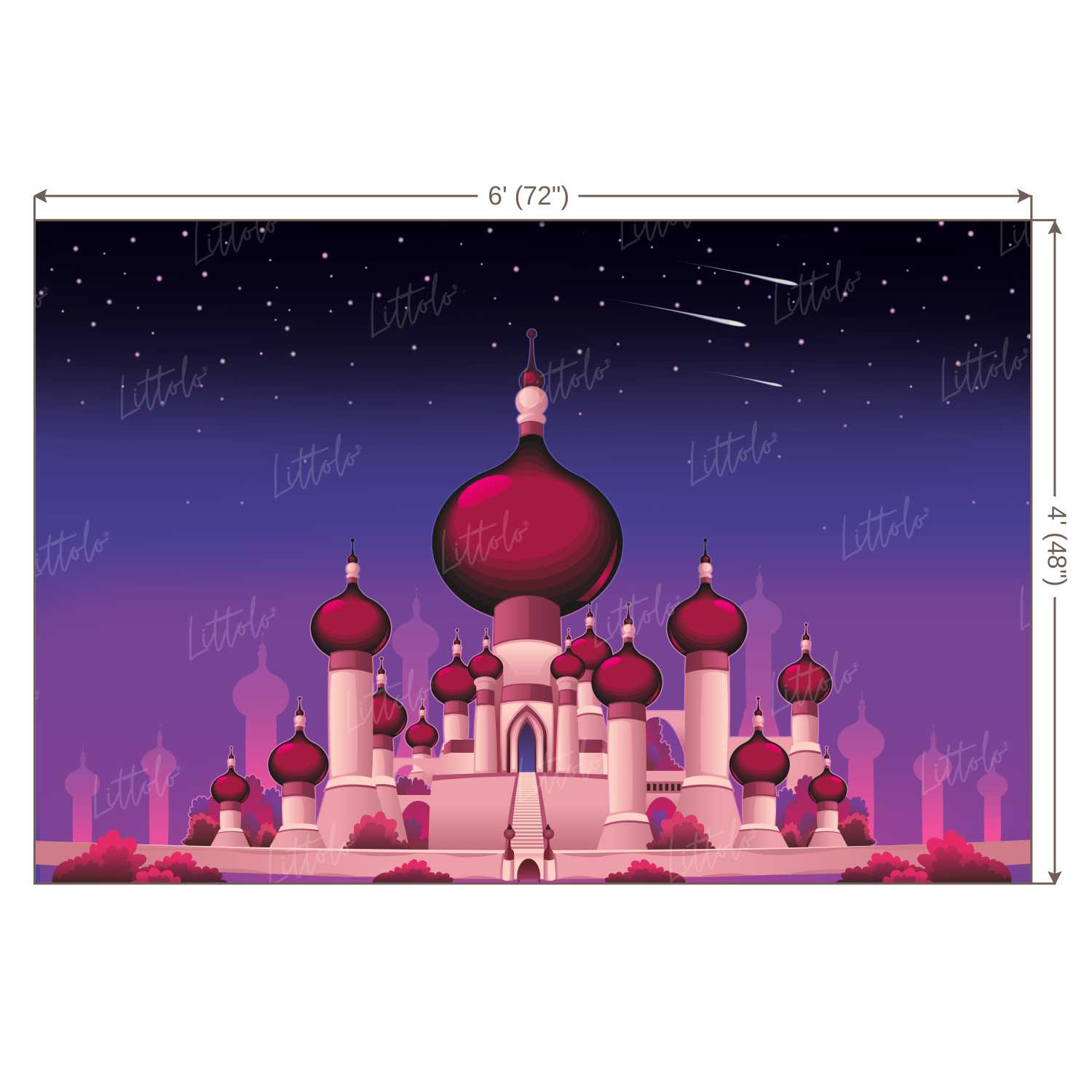 LB0253 Magical Castle Theme Backdrop