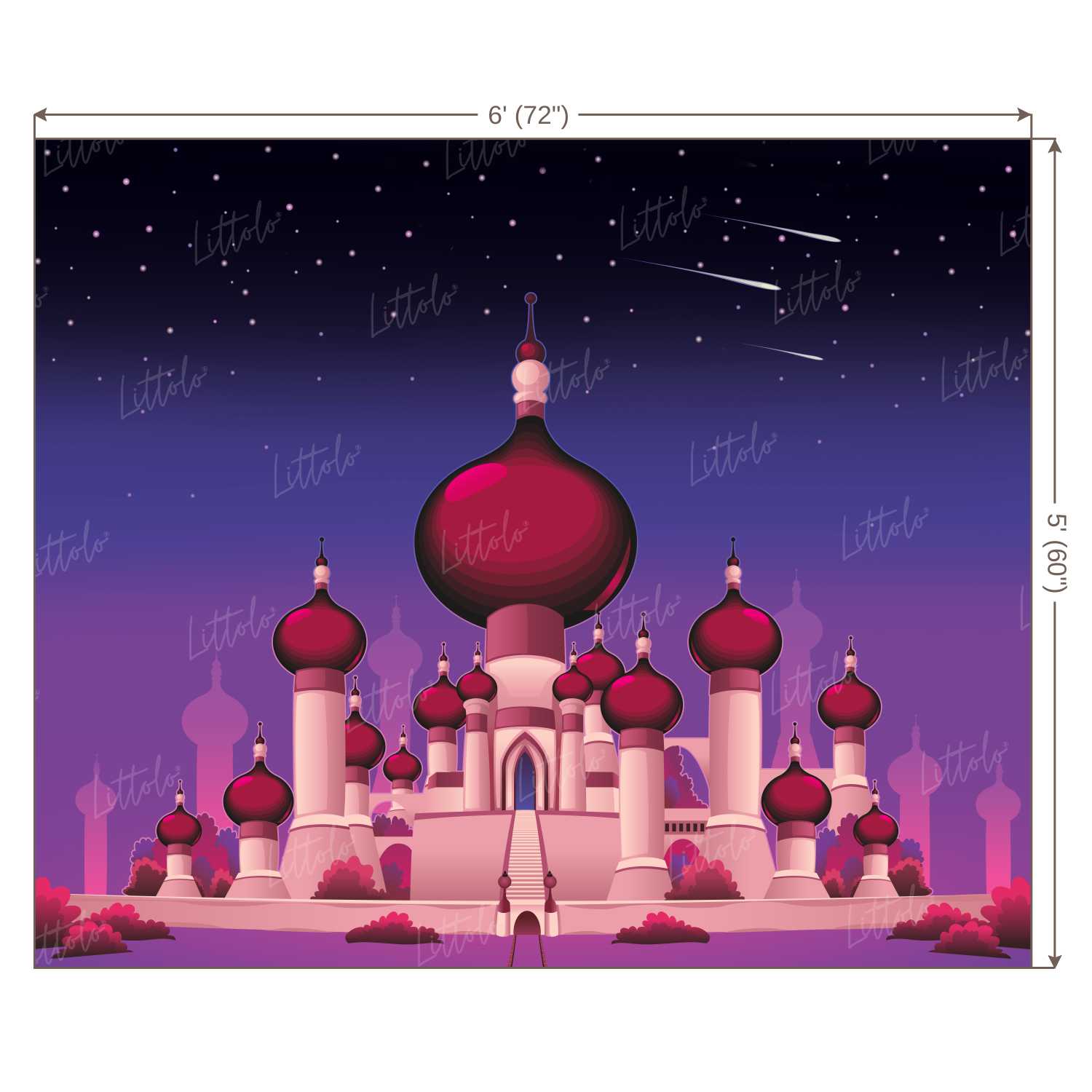 LB0253 Magical Castle Theme Backdrop