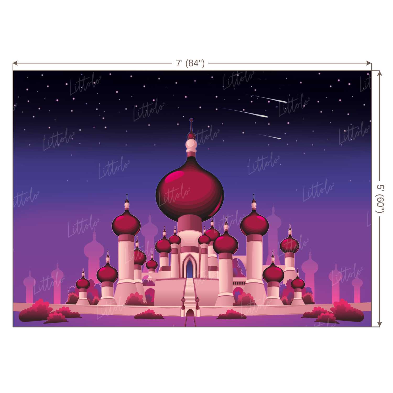 LB0253 Magical Castle Theme Backdrop