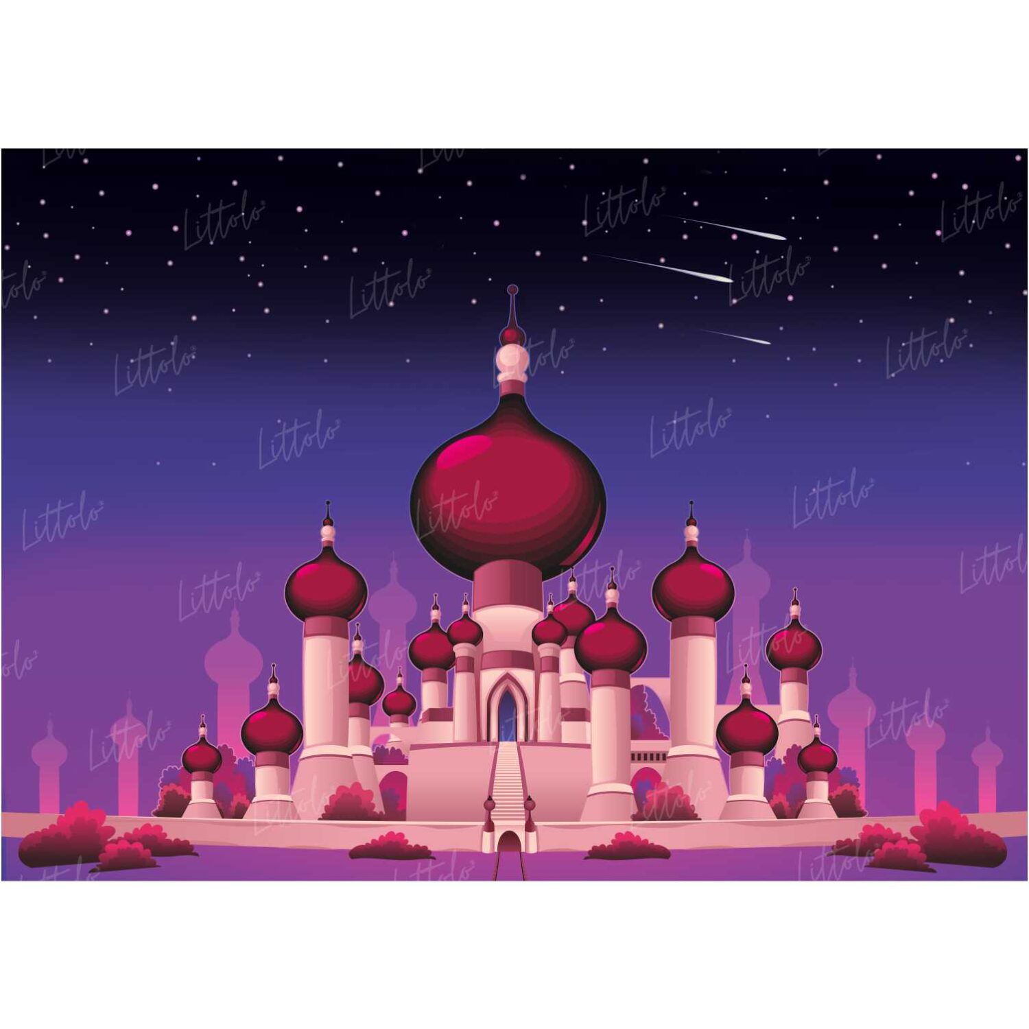 LB0253 Magical Castle Theme Backdrop