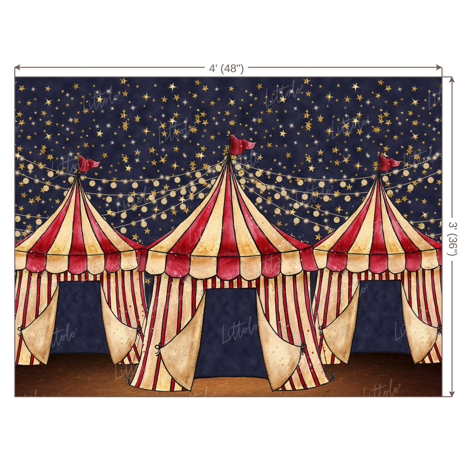 LB0296 Circus Theme Backdrop