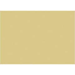 LB0301 Flaxen Solid Cold Backdrop