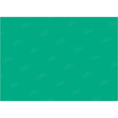 LB0306 Emerald Solid Cold Backdrop