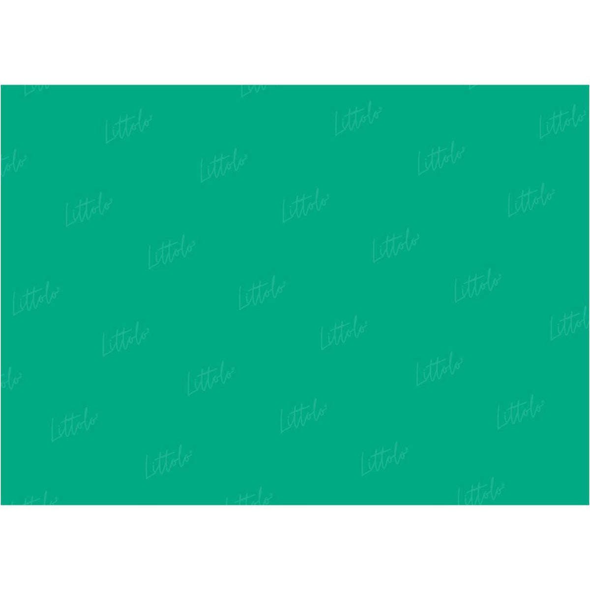 LB0306 Emerald Solid Cold Backdrop