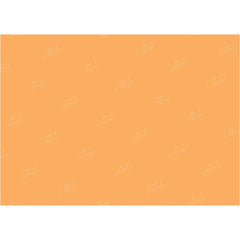 LB0328 Tangerine Solid Warm Backdrop