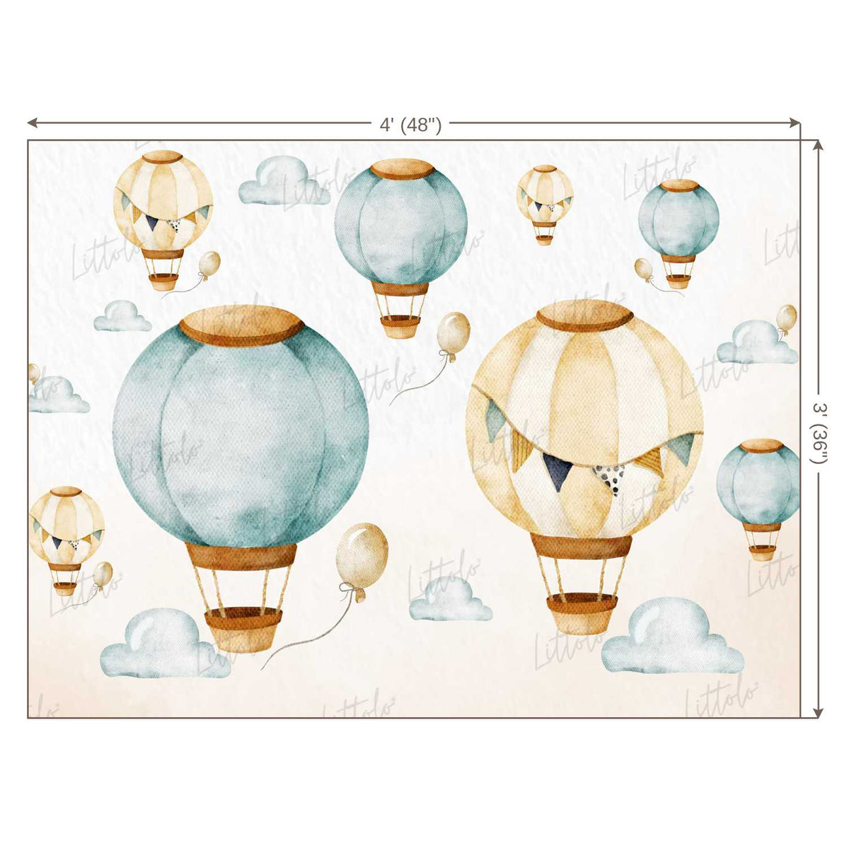 LB0354 Watercolor HotAir Balloon Backdrop