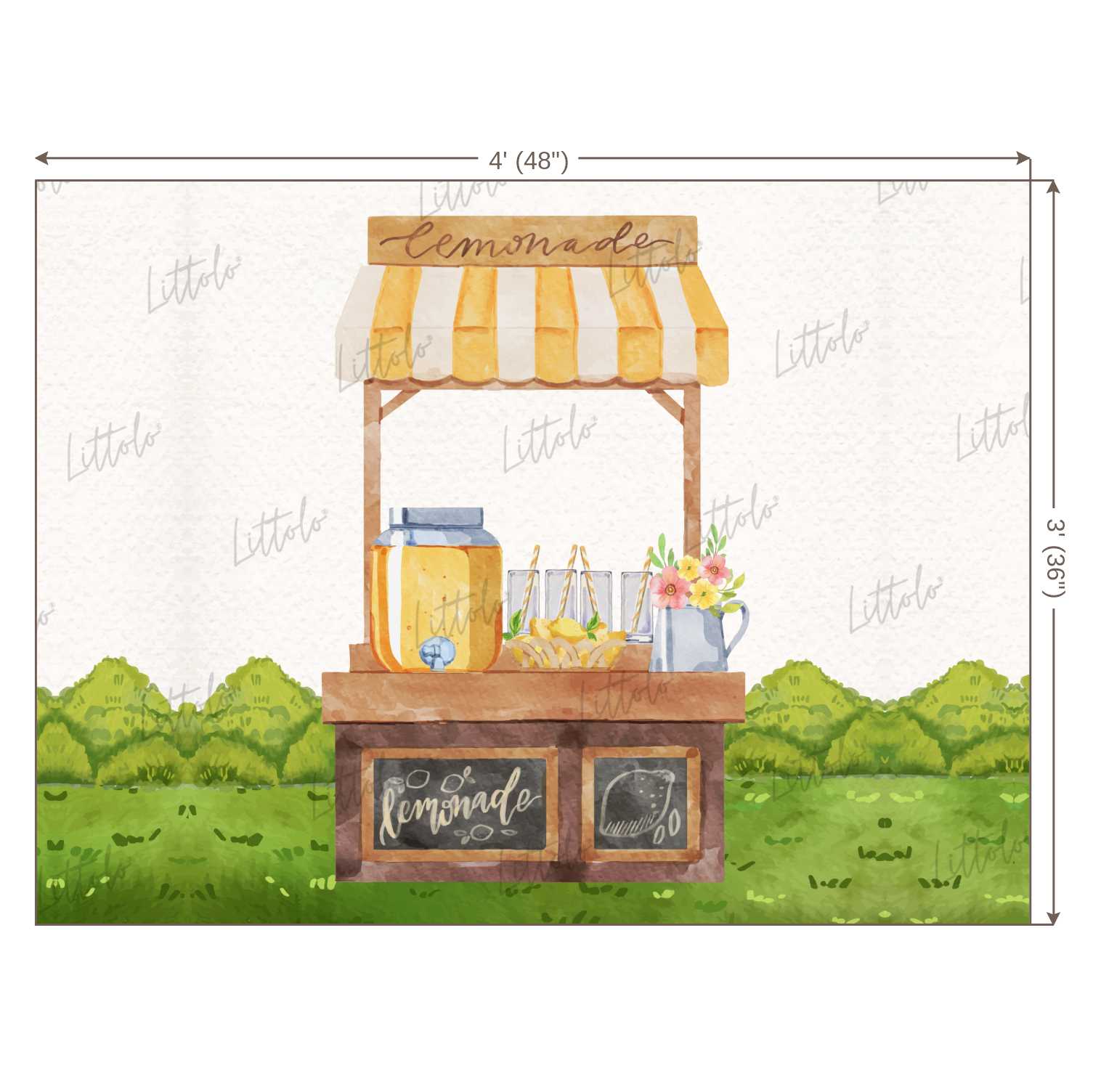 LB0376 Lemonade Store Backdrop