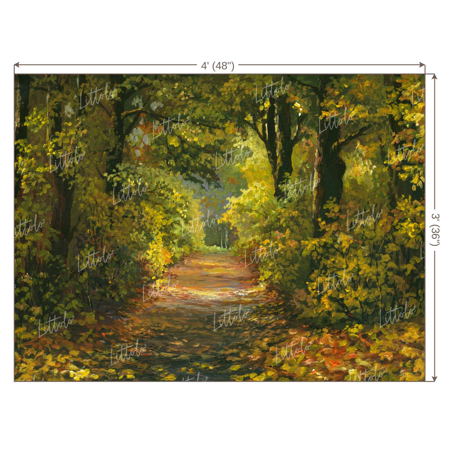 LB0389 Forest Path Theme Backdrop