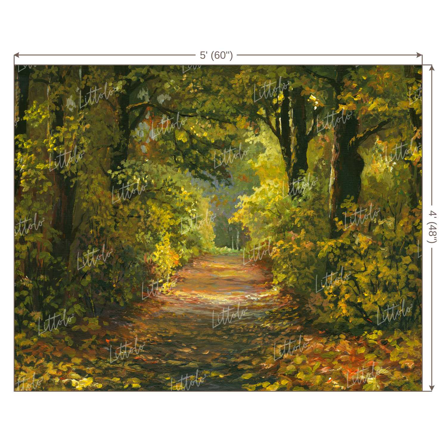 LB0389 Forest Path Theme Backdrop