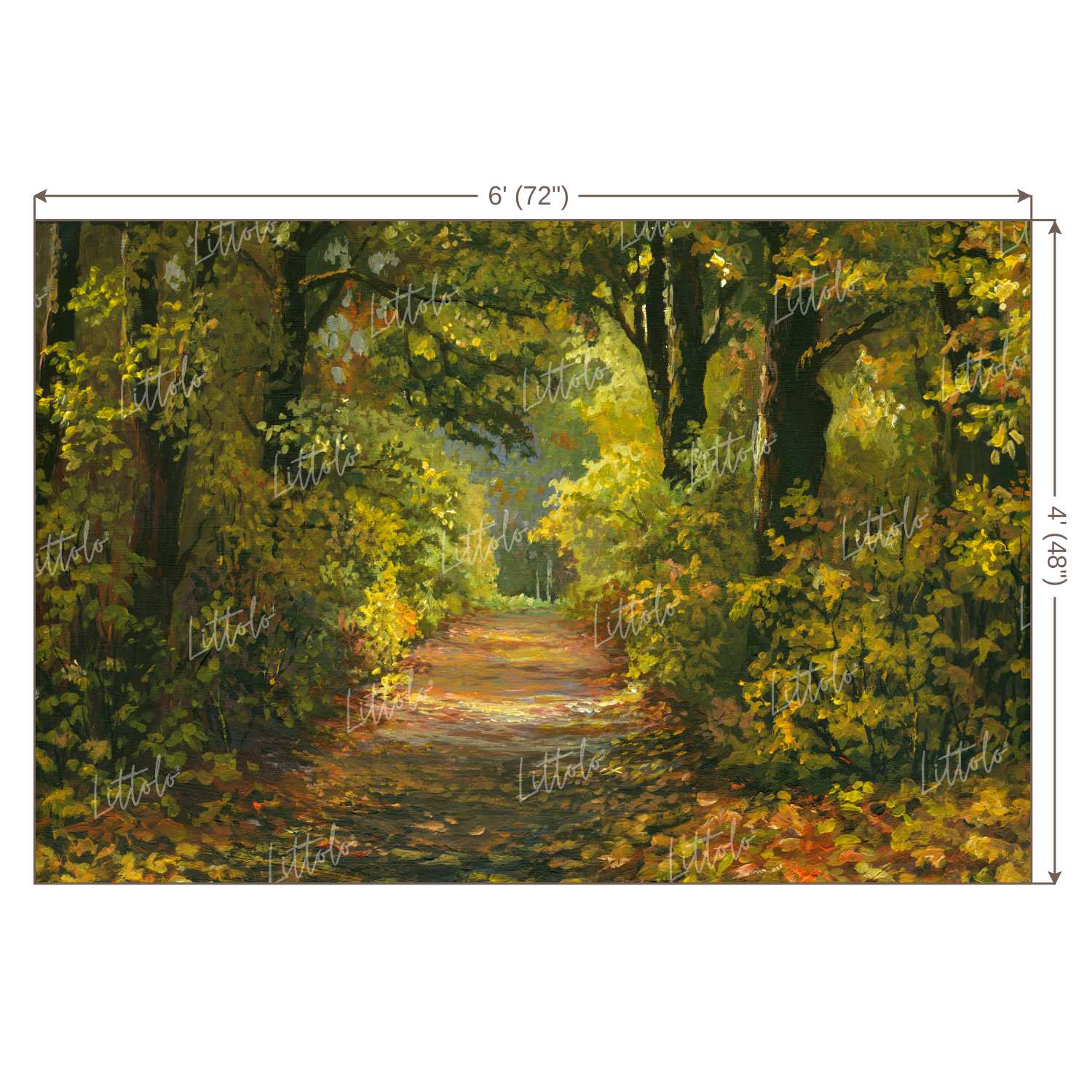 LB0389 Forest Path Theme Backdrop