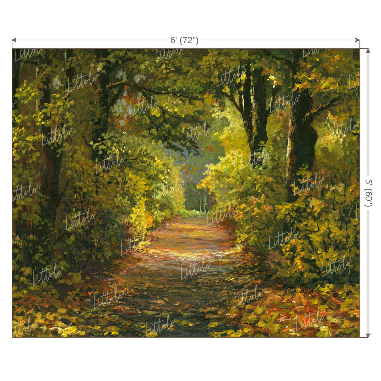 LB0389 Forest Path Theme Backdrop