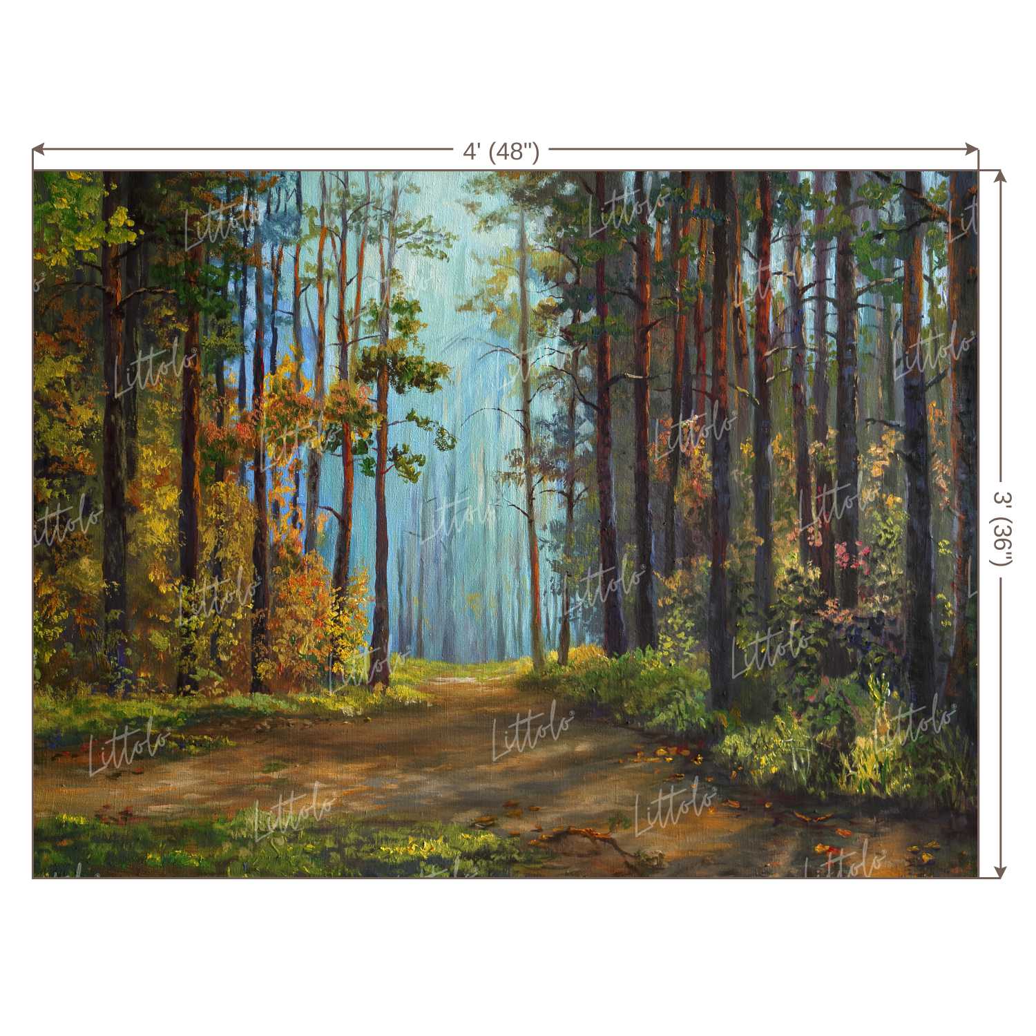 LB0391 Forest Path Theme Backdrop