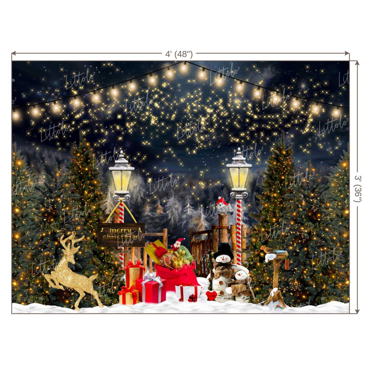 LB0392 Christmas Theme Backdrop