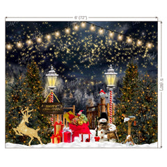 LB0392 Christmas Theme Backdrop