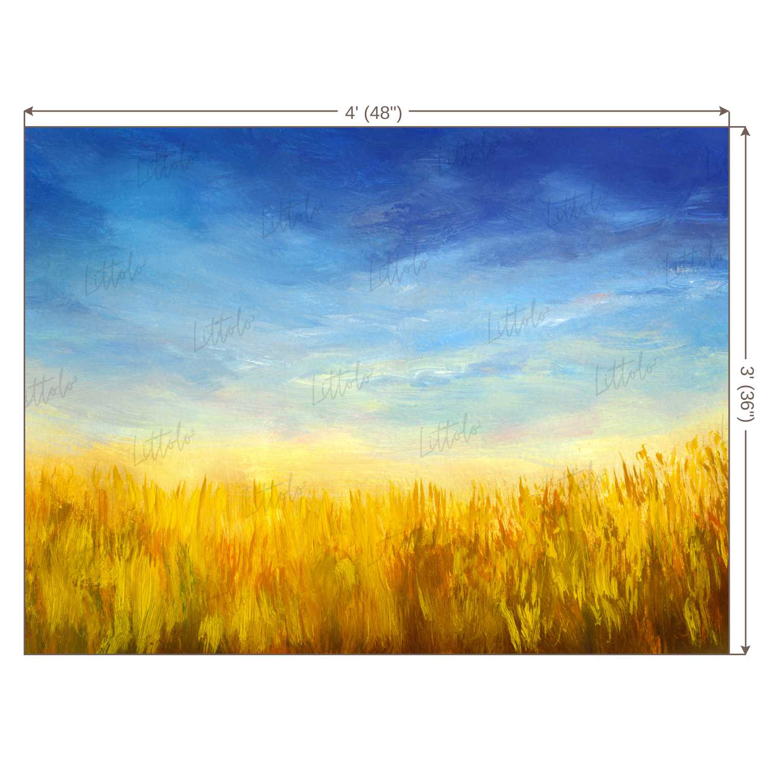 LB0423 Summer Field Theme Backdrop