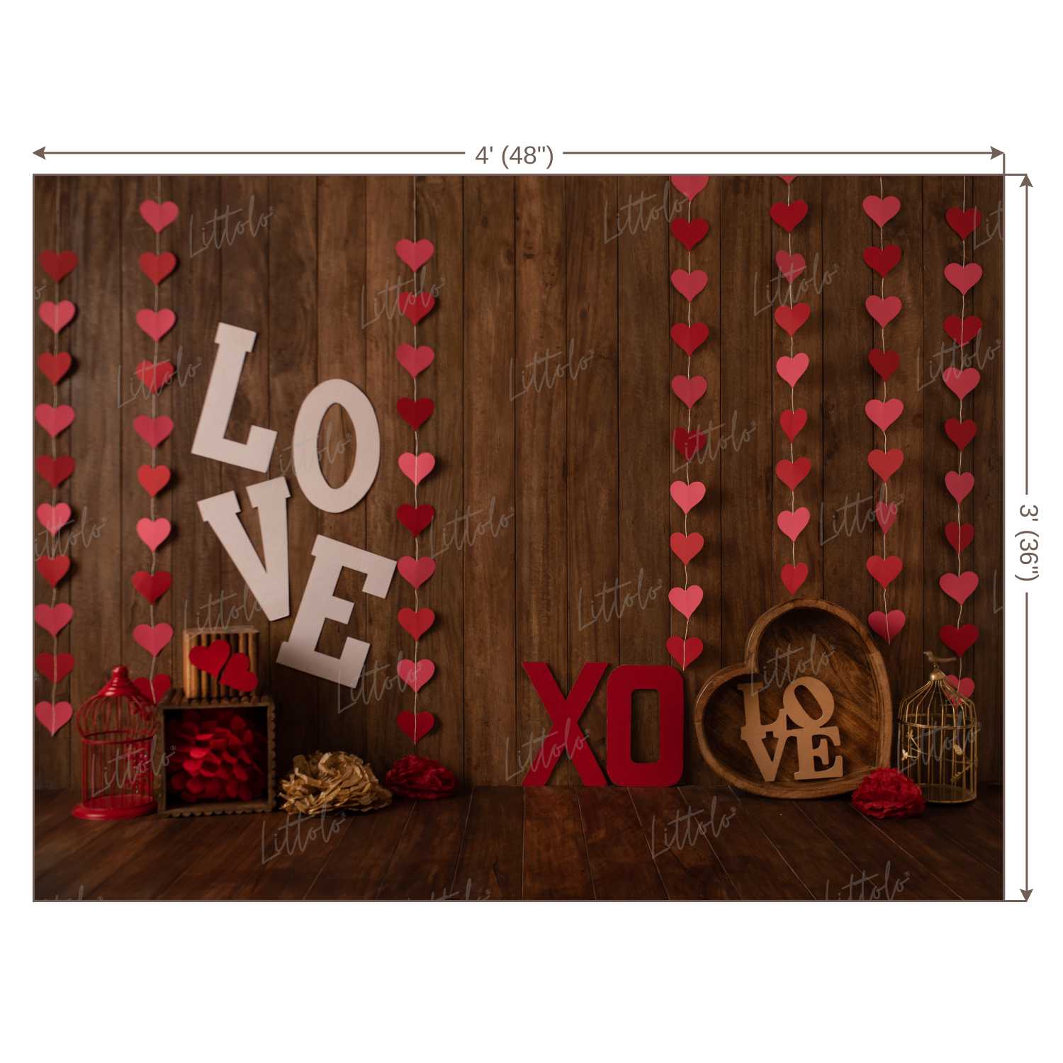 LB0431 Valentine Theme Backdrop