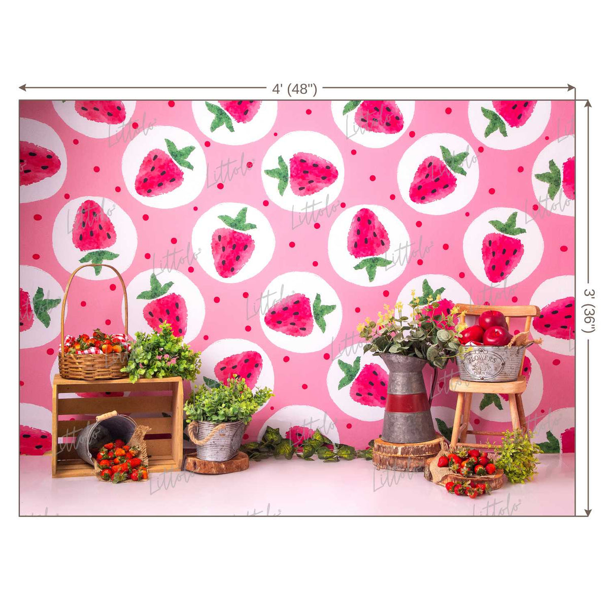 LB0433 Strawberry Summer Backdrop