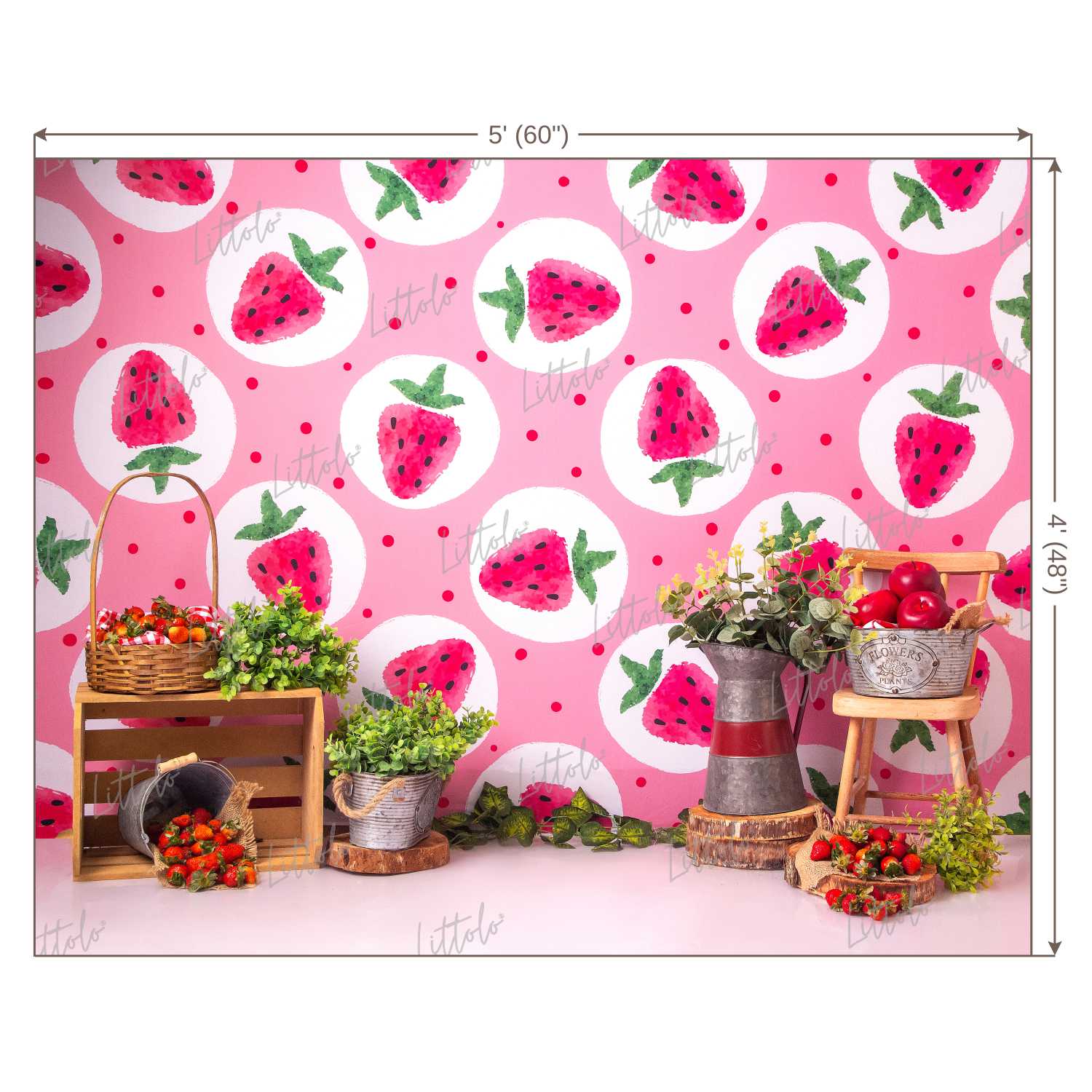 LB0433 Strawberry Summer Backdrop