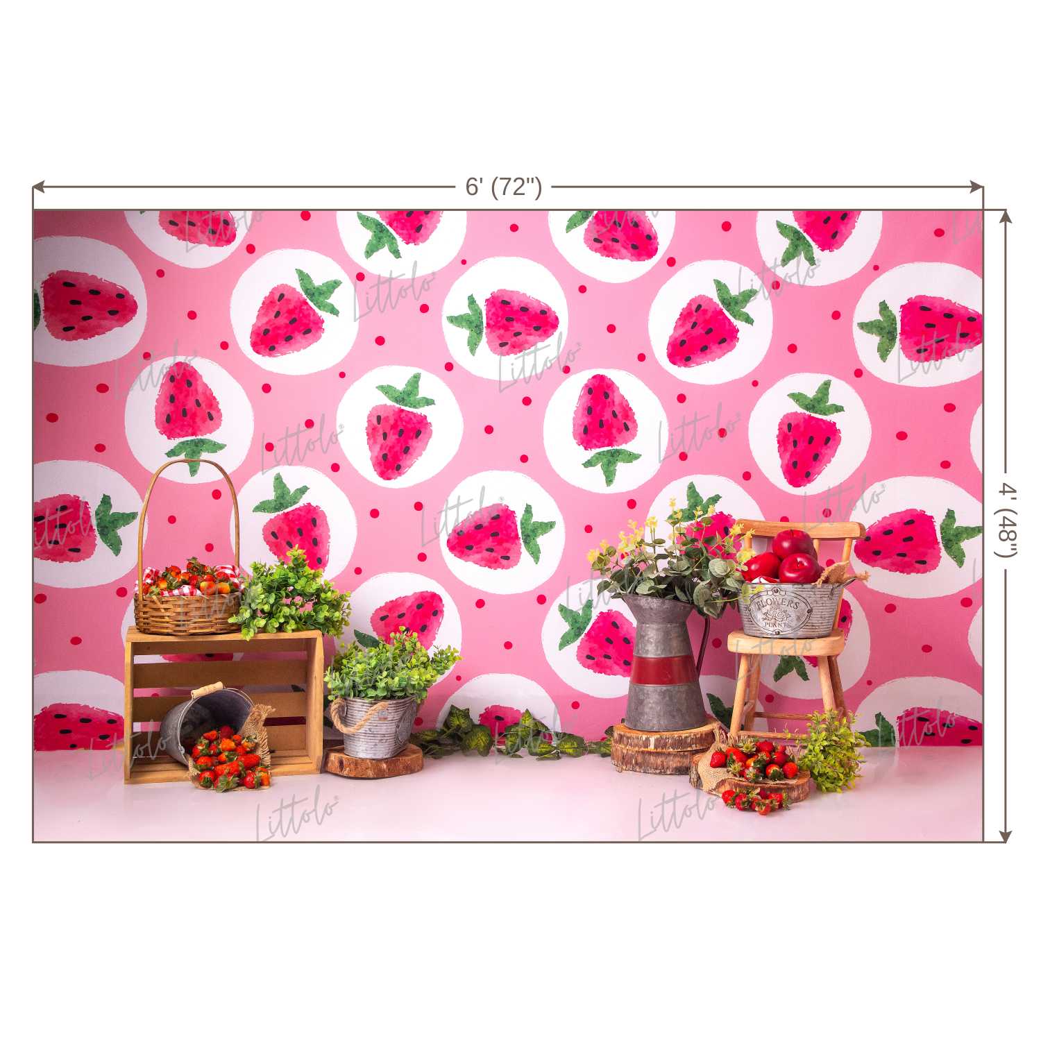 LB0433 Strawberry Summer Backdrop