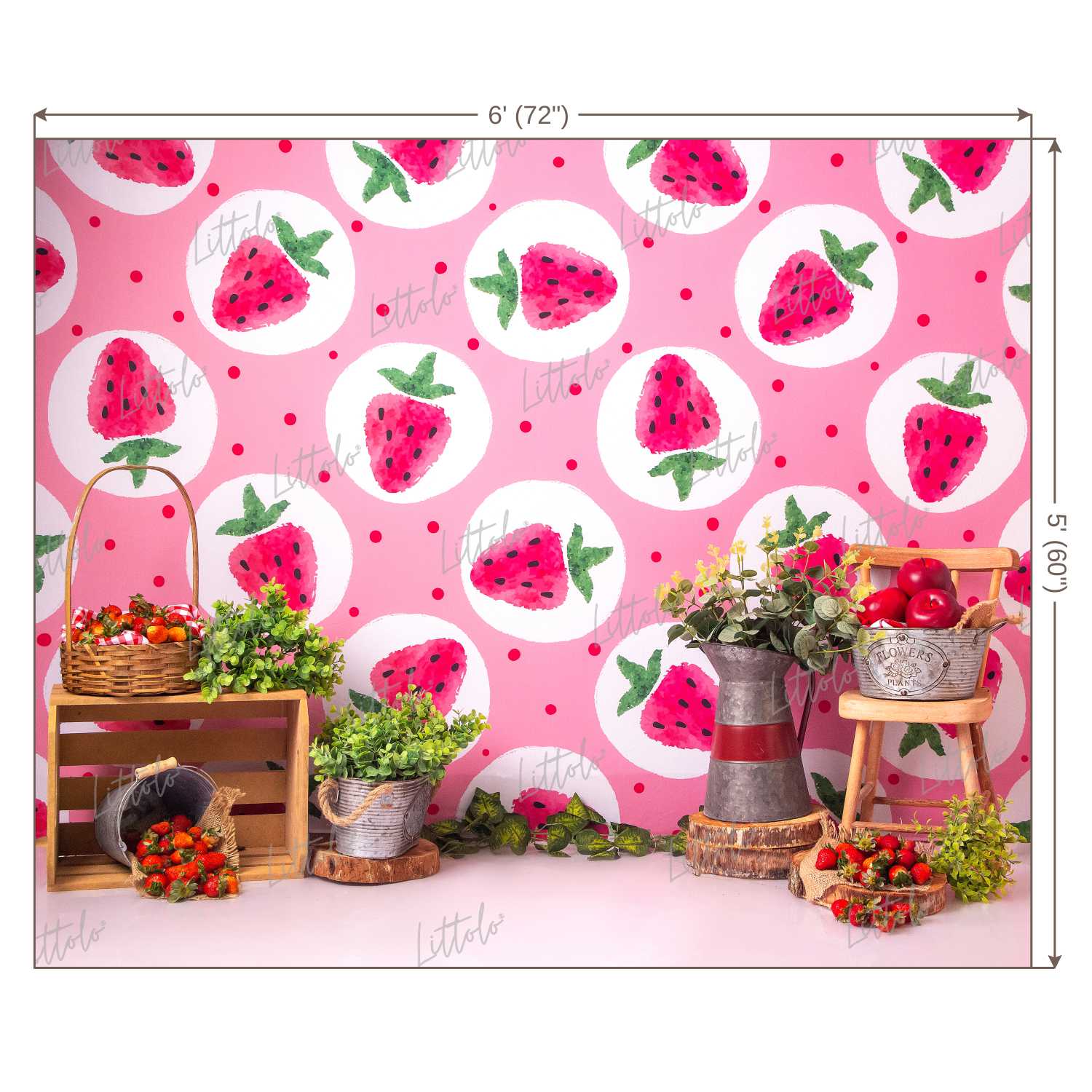 LB0433 Strawberry Summer Backdrop