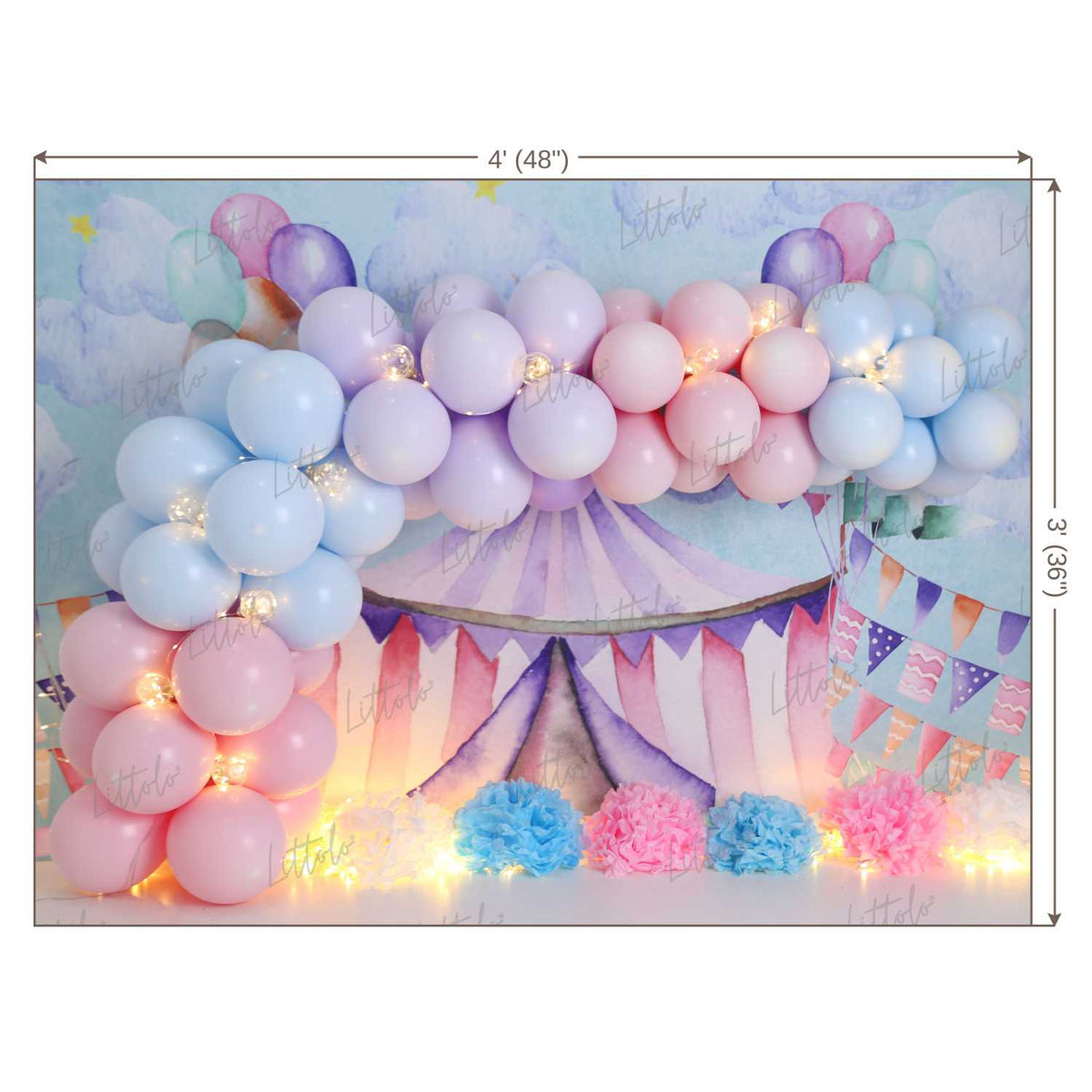 LB0453 Circus Balloon Garland Backdrop