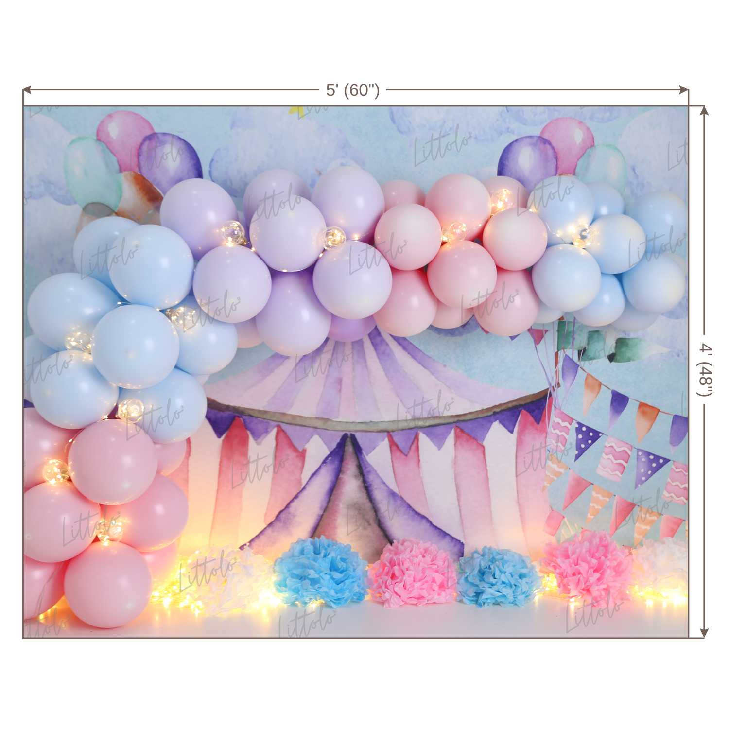 LB0453 Circus Balloon Garland Backdrop