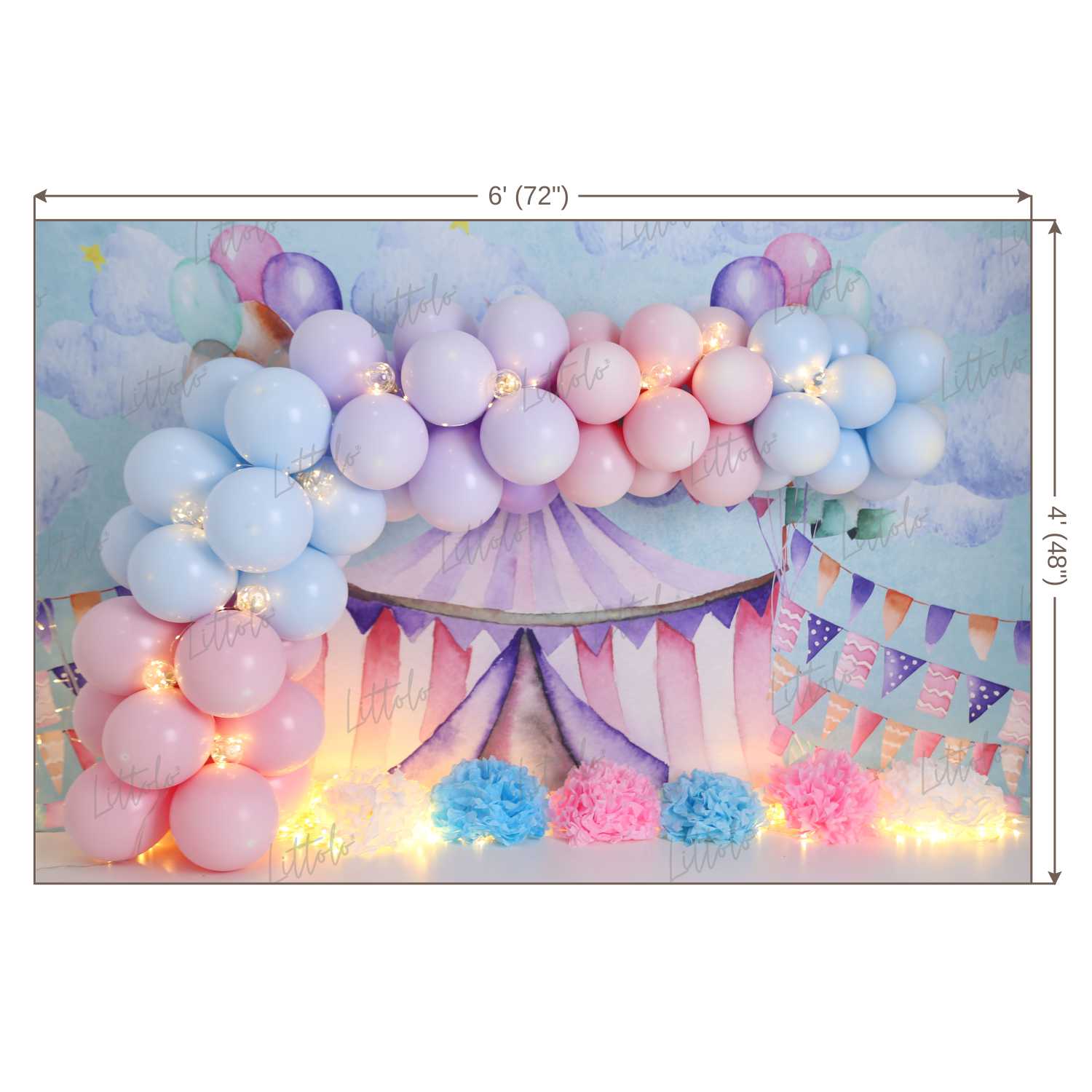 LB0453 Circus Balloon Garland Backdrop