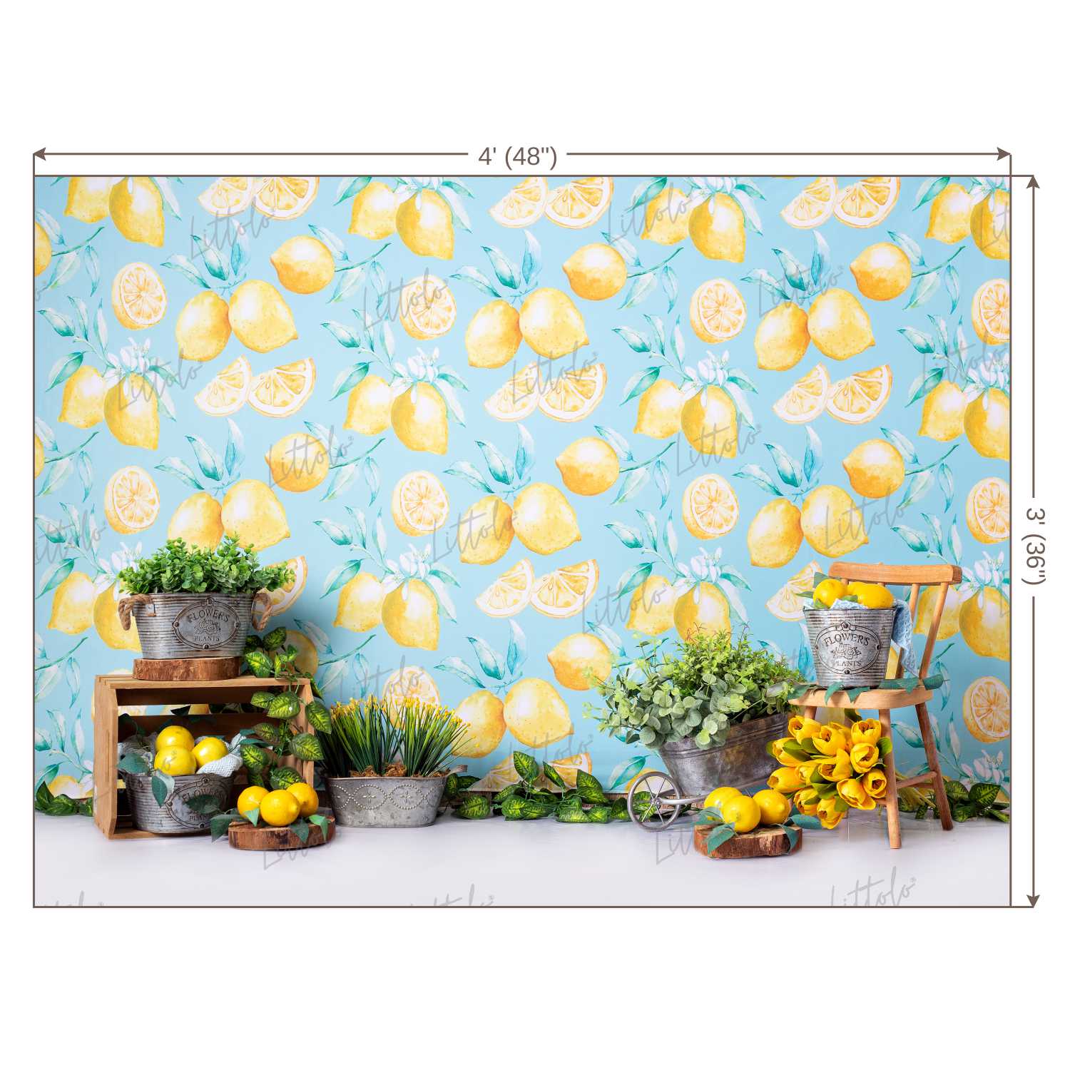 LB0457 Summer Lemon Backdrop