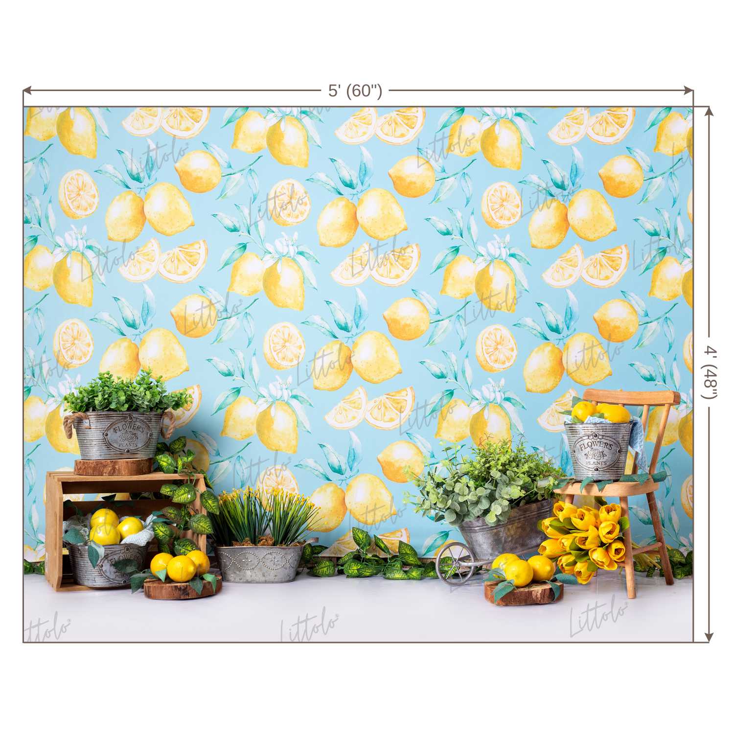 LB0457 Summer Lemon Backdrop