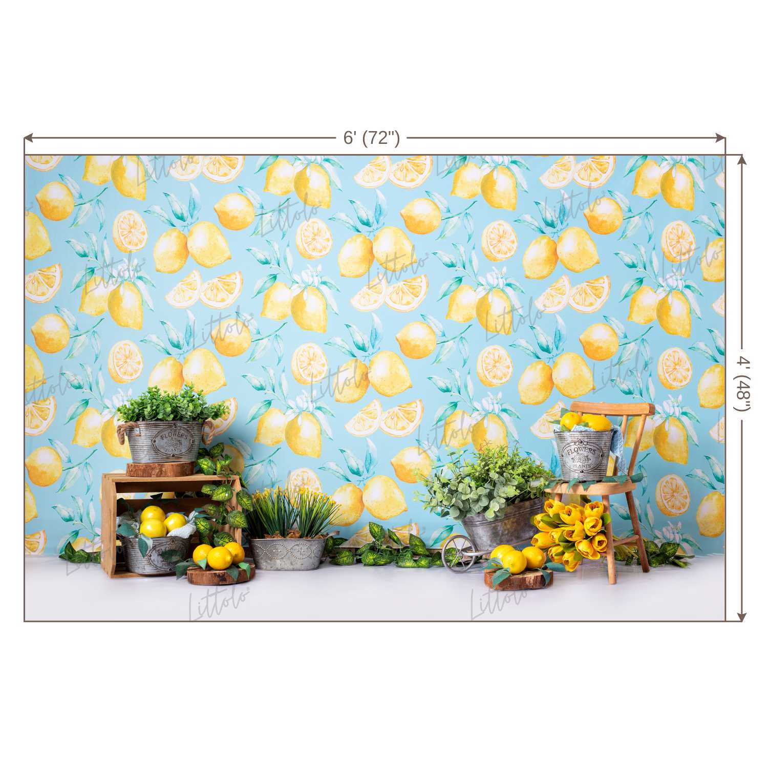 LB0457 Summer Lemon Backdrop