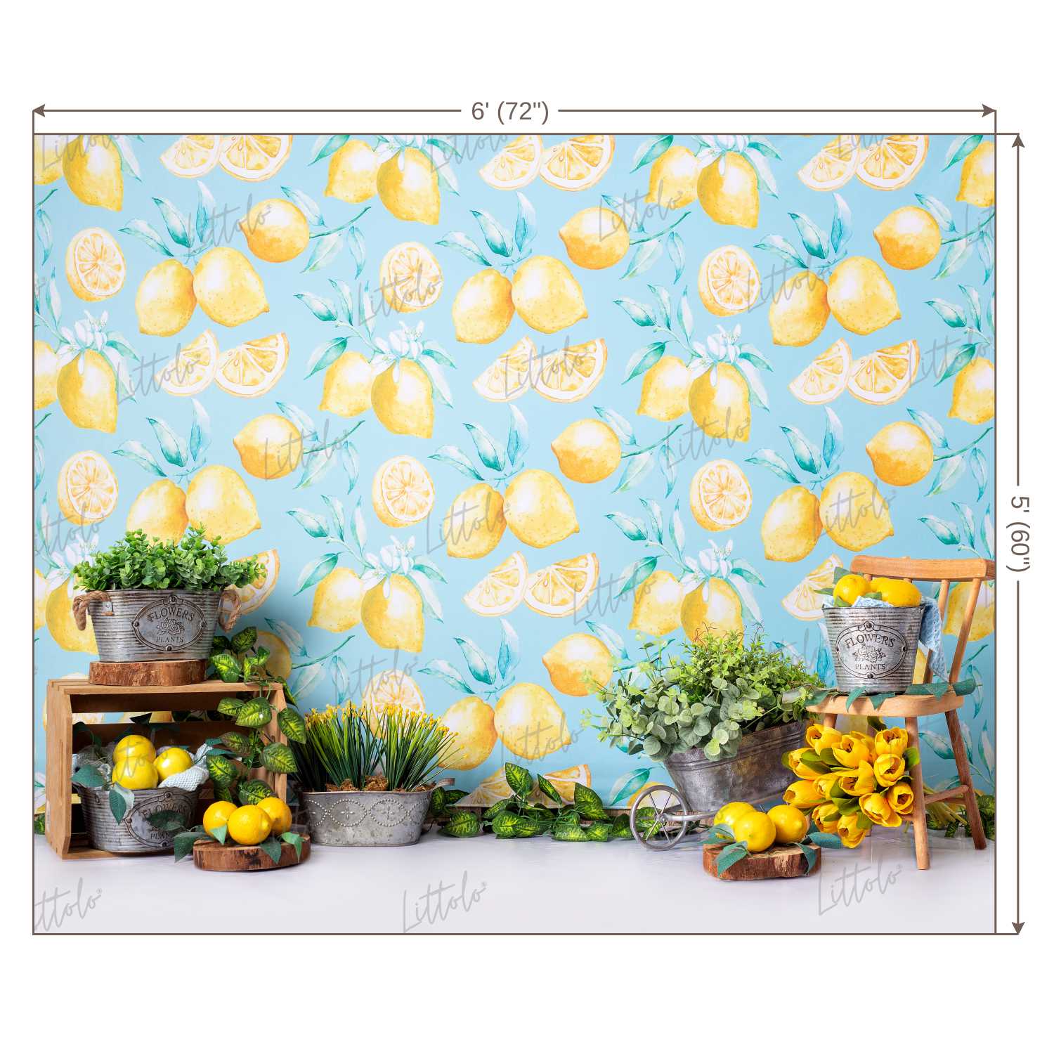 LB0457 Summer Lemon Backdrop