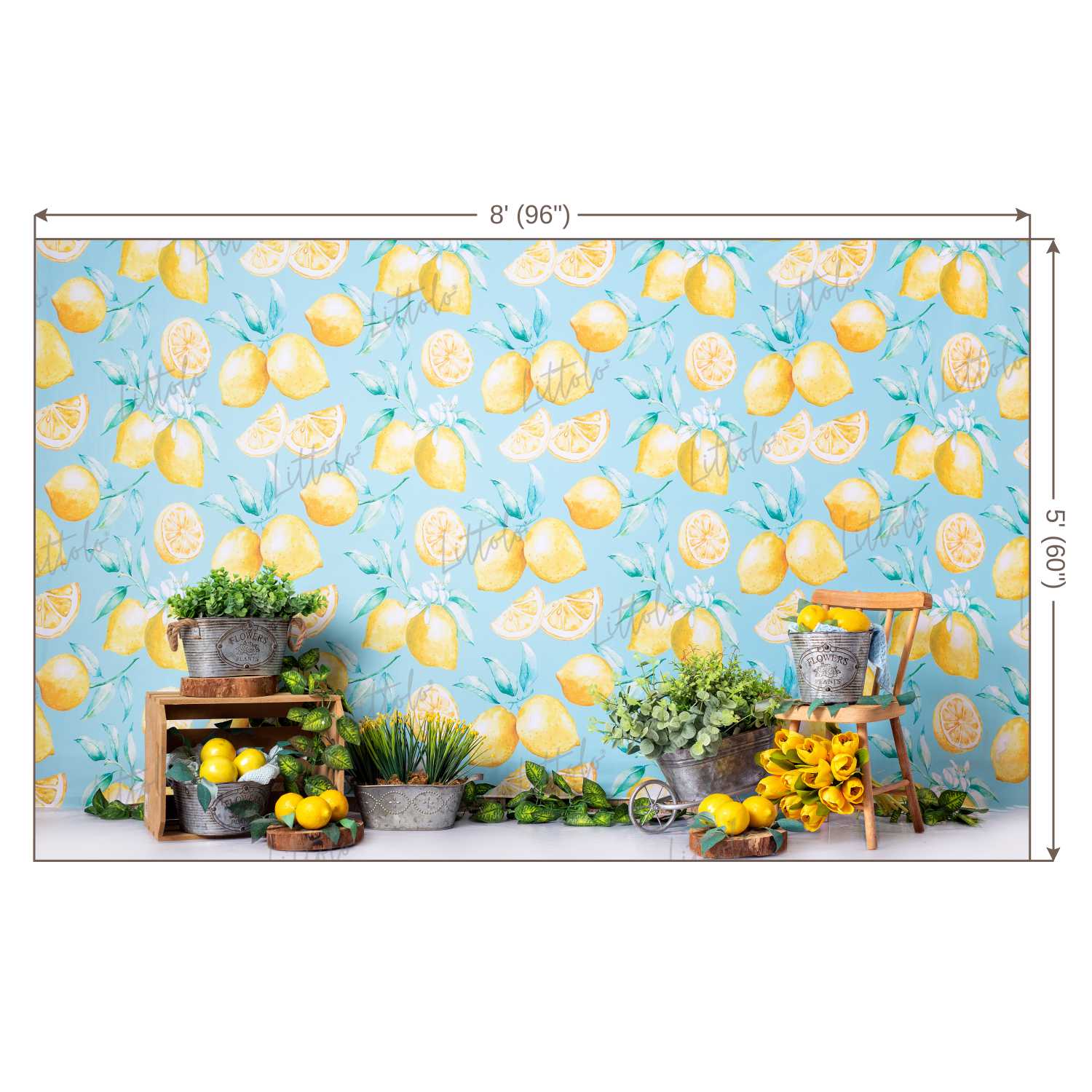 LB0457 Summer Lemon Backdrop