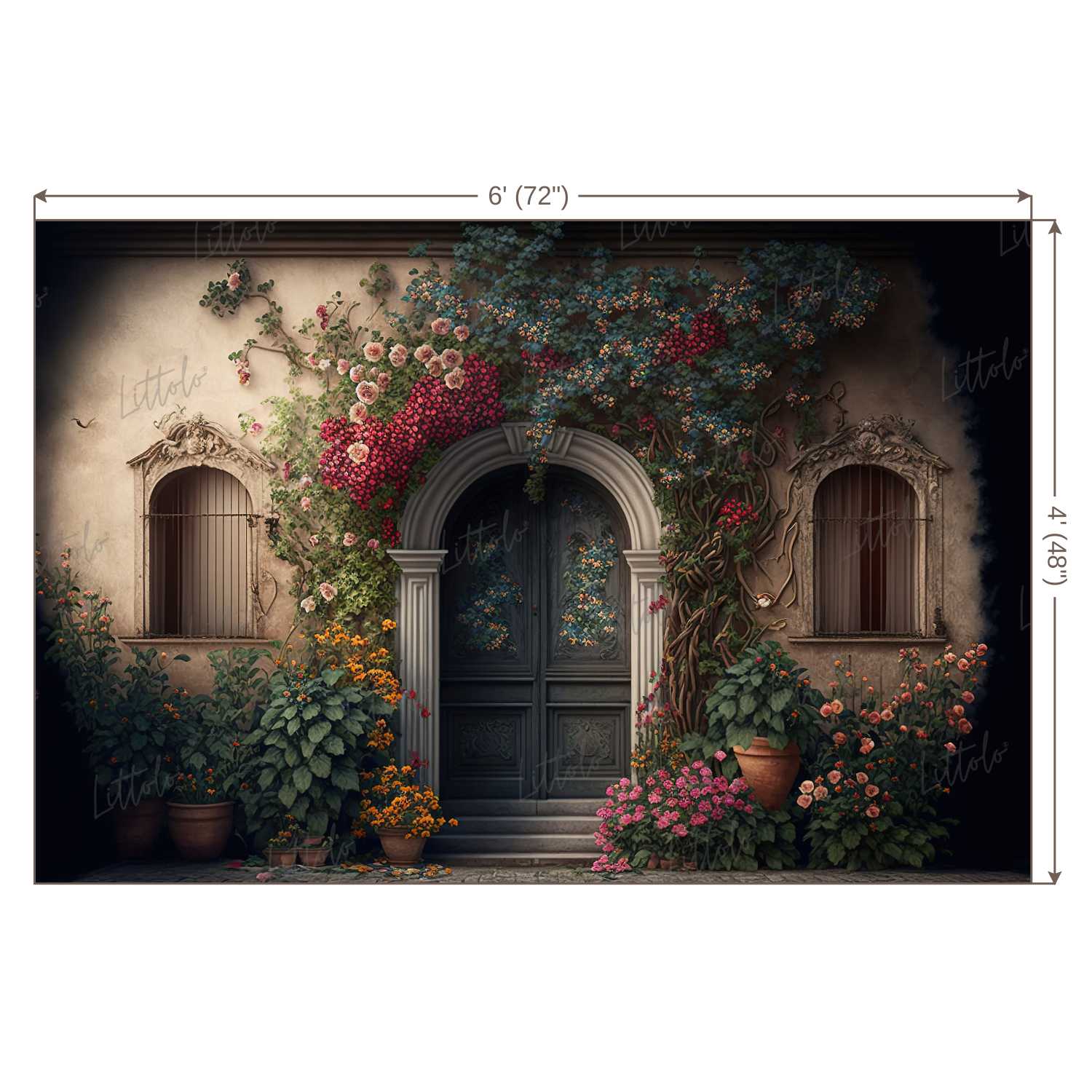 LB0490 Enchanted Doorway Theme Backdrop