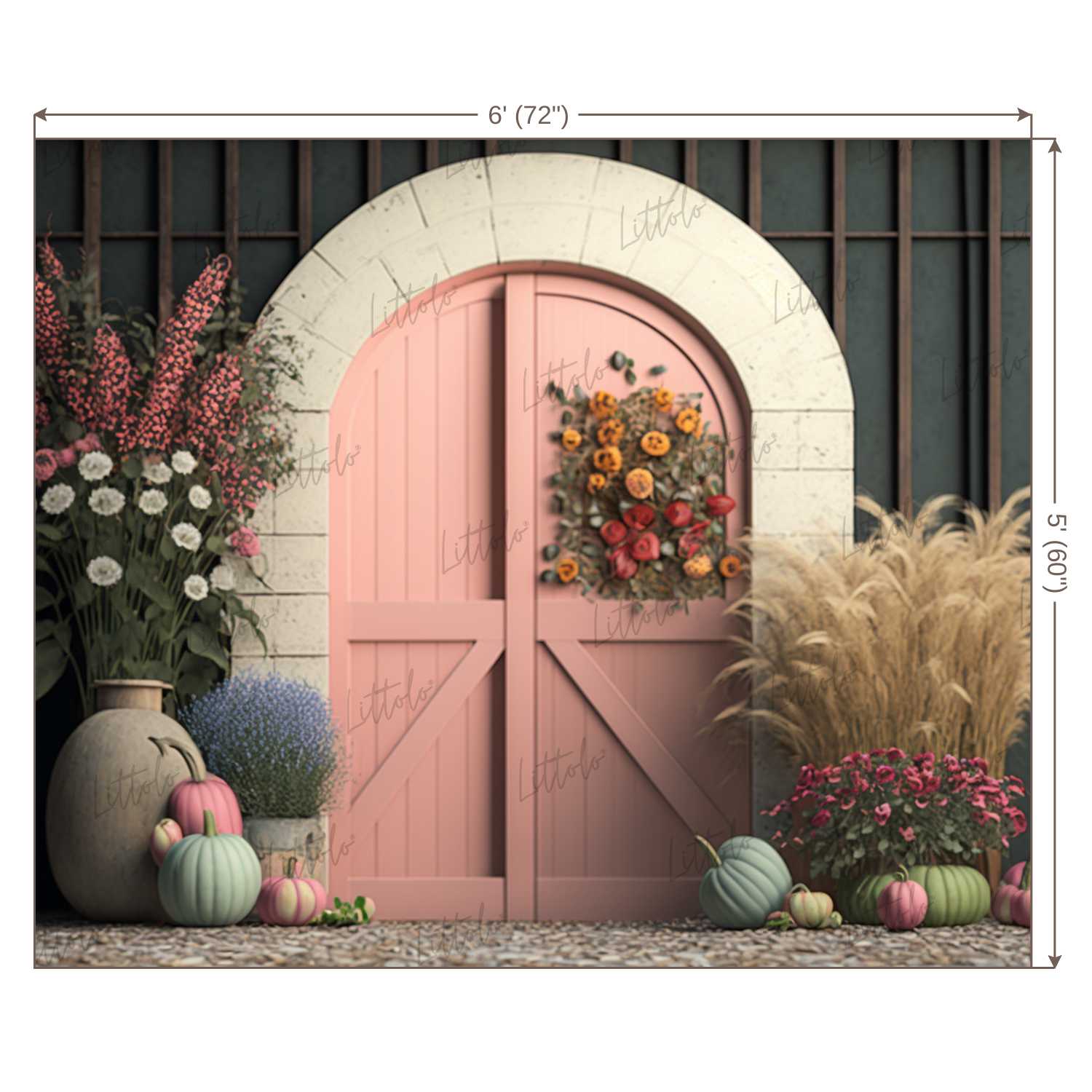 LB0510 Enchanted Doorway Backdrop