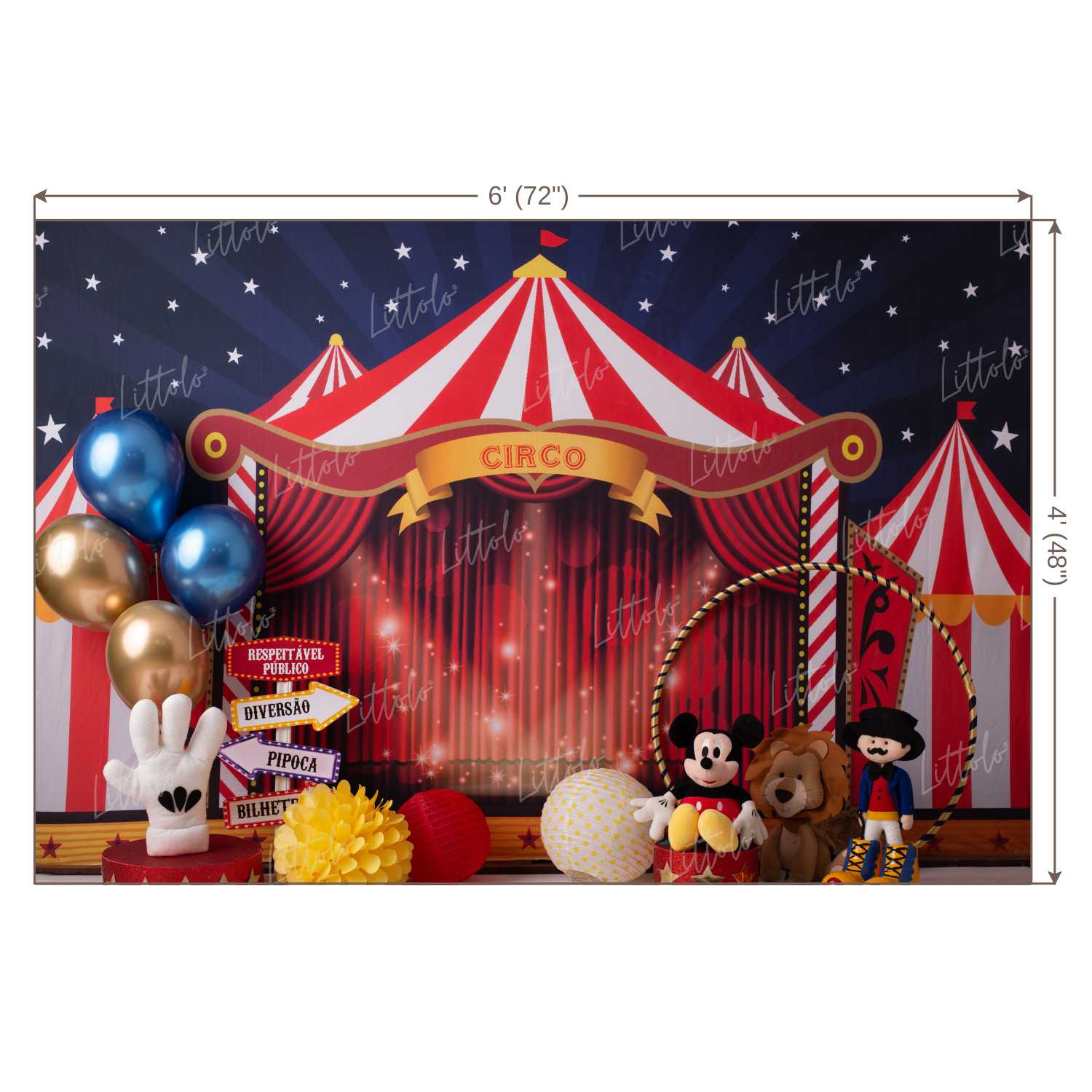 LB0545 Circus Backdrop