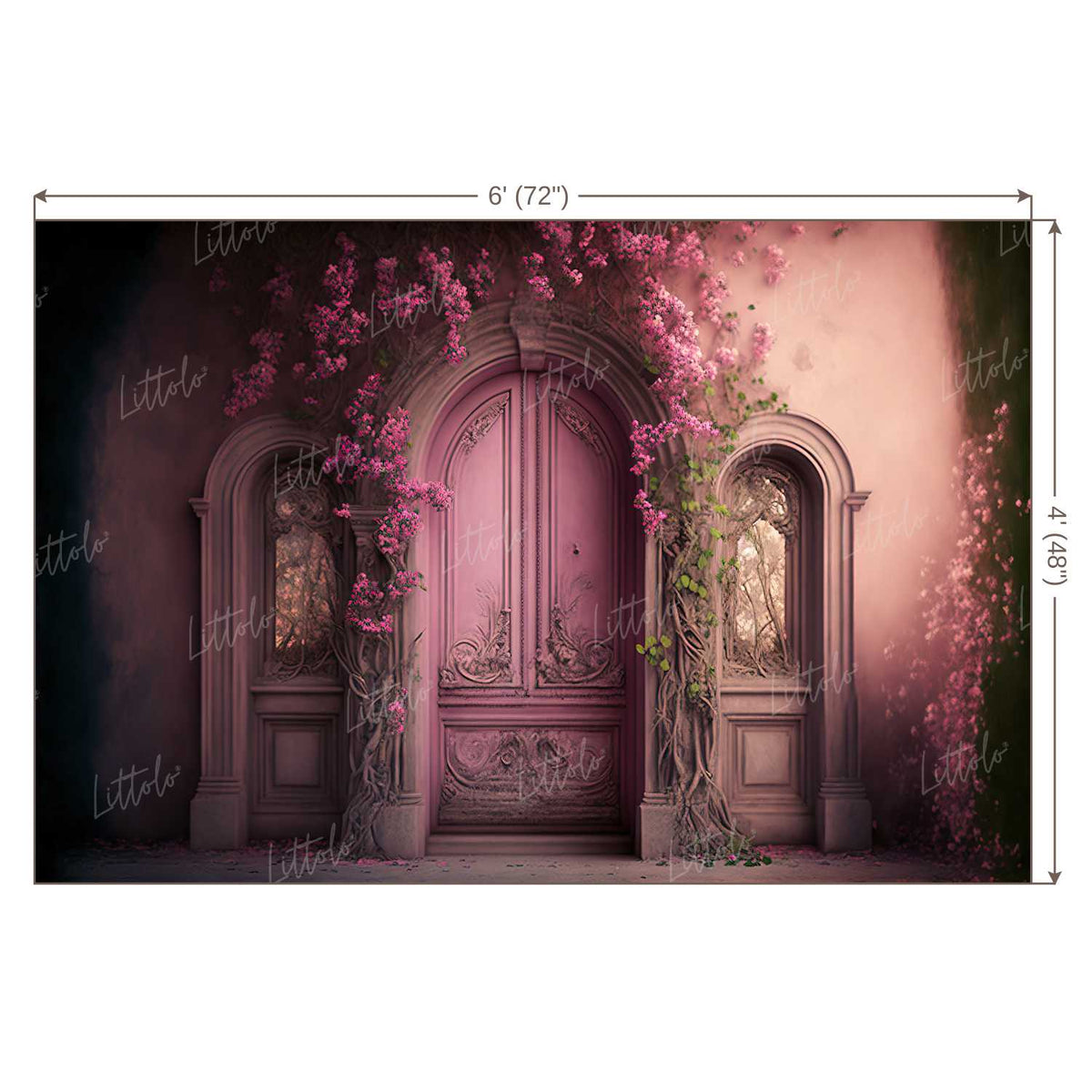 LB0546 Enchanted Doorway Backdrop